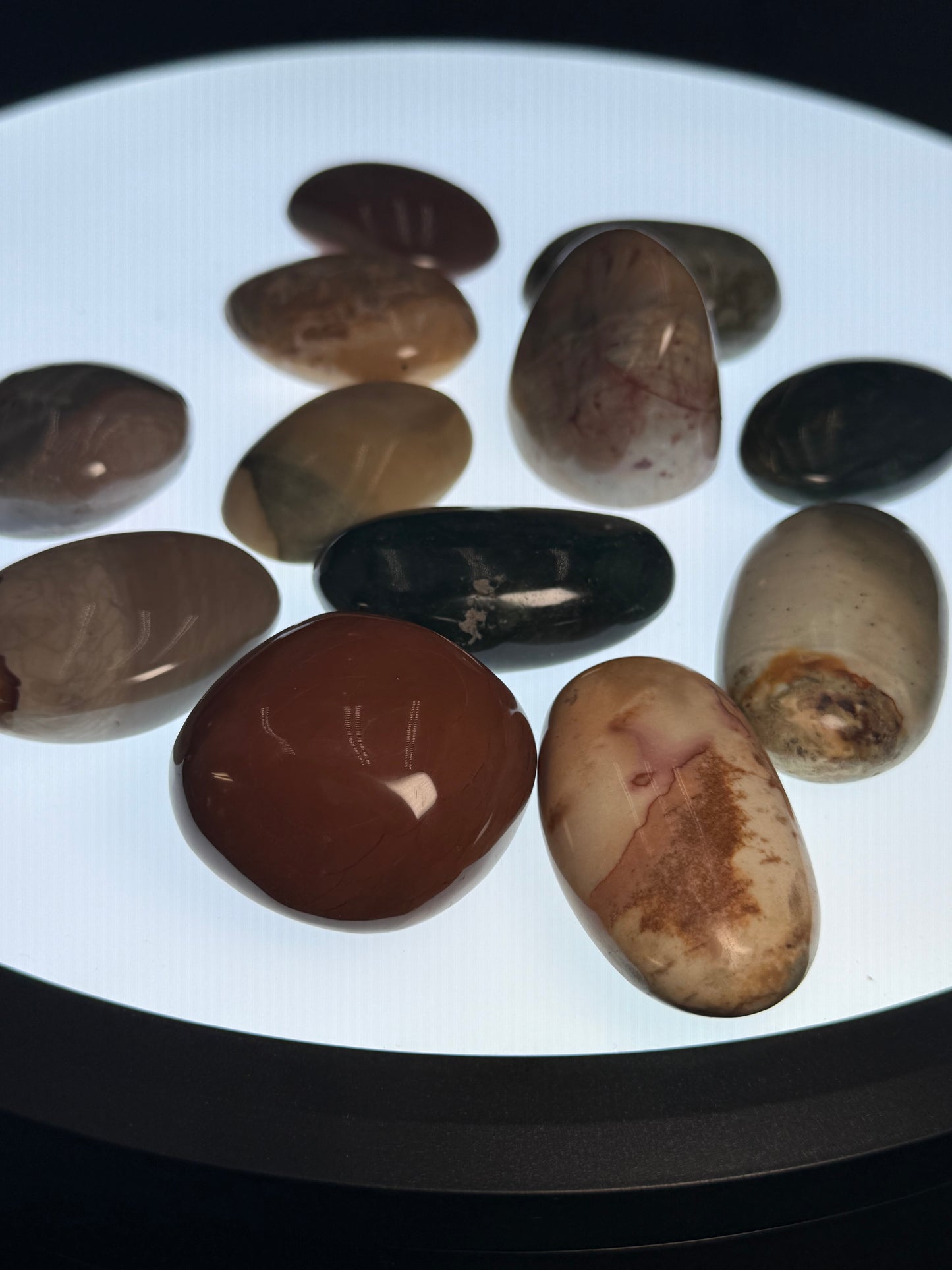 Desert Jasper Palm Stone