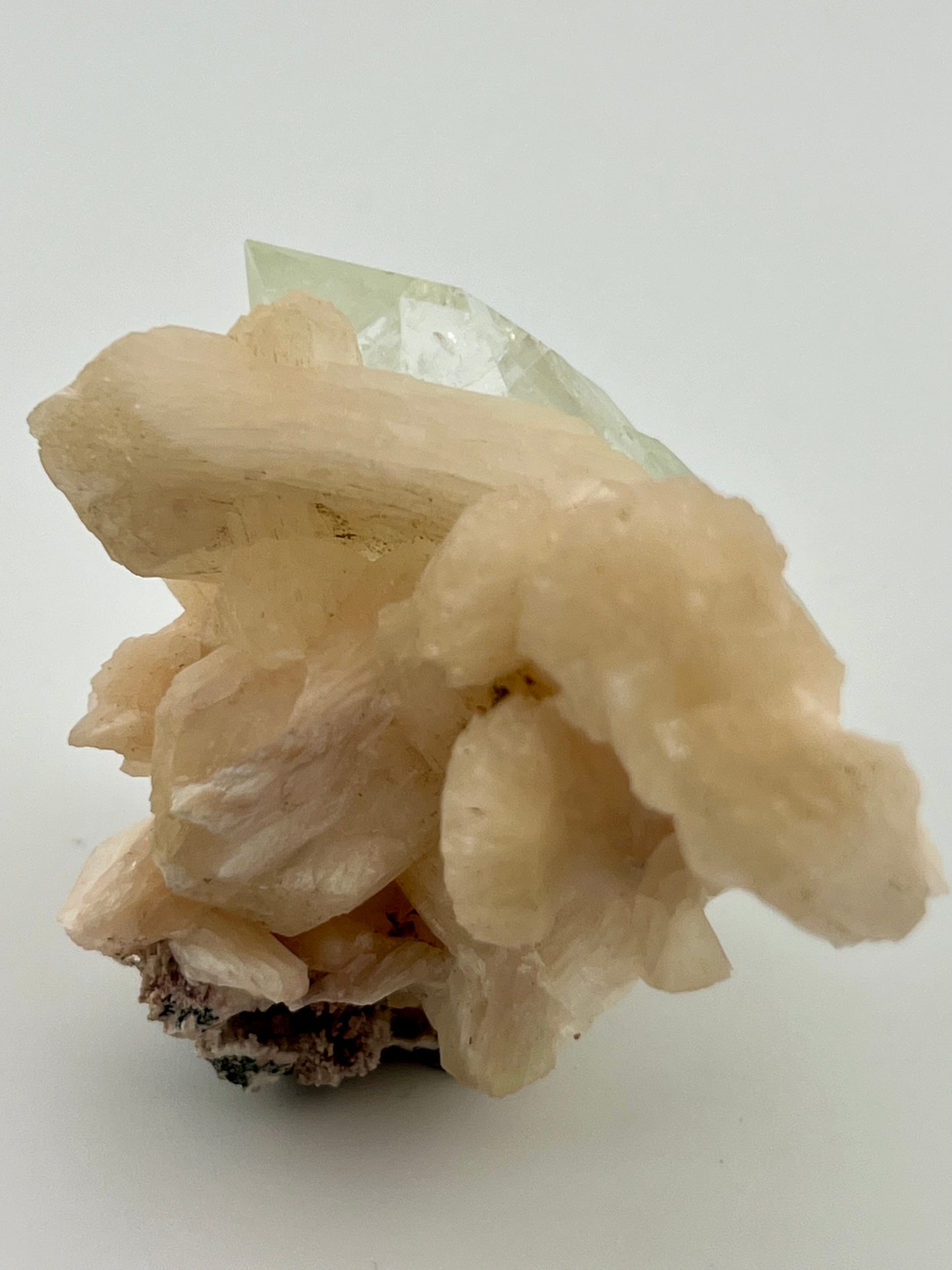 Diamond Apophyllite on Stilbite