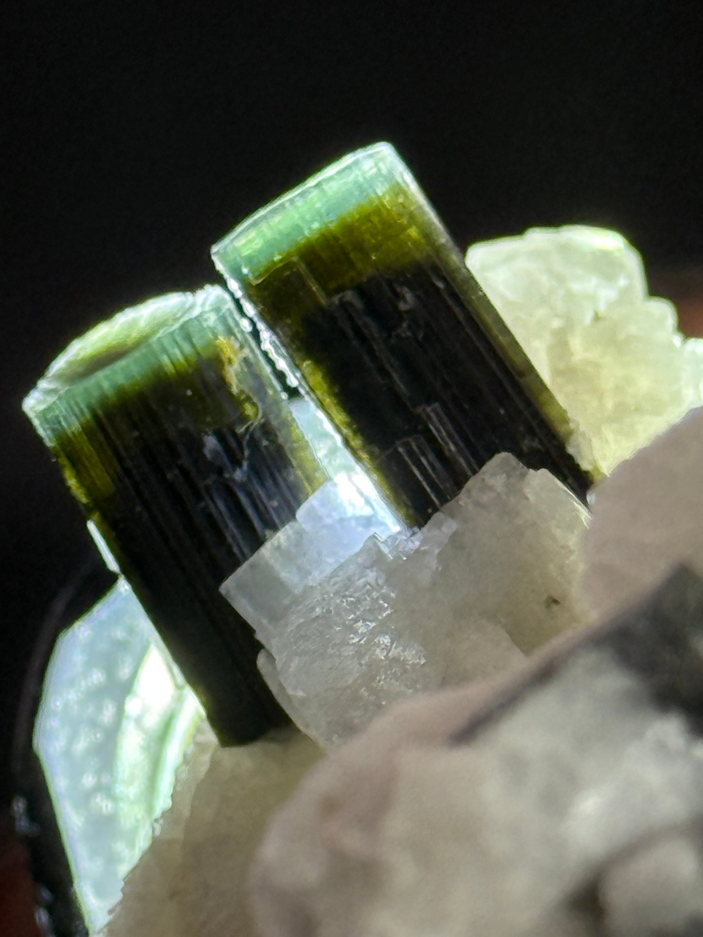 Tourmaline w/ Albite