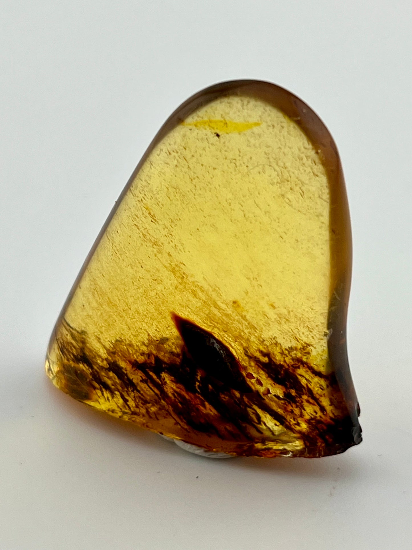 Amber mined in the 1960's