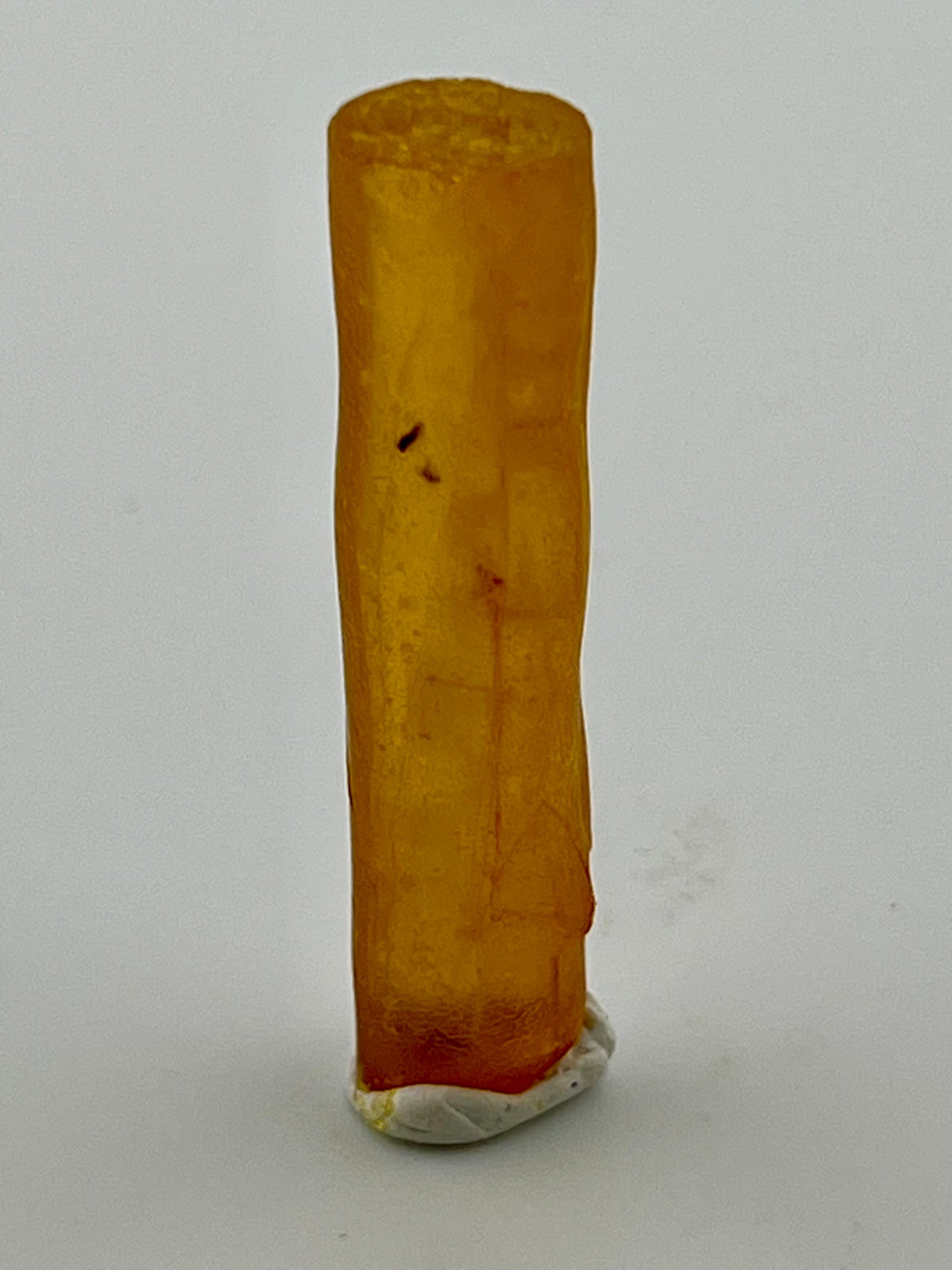 Amber mined in the 1970s