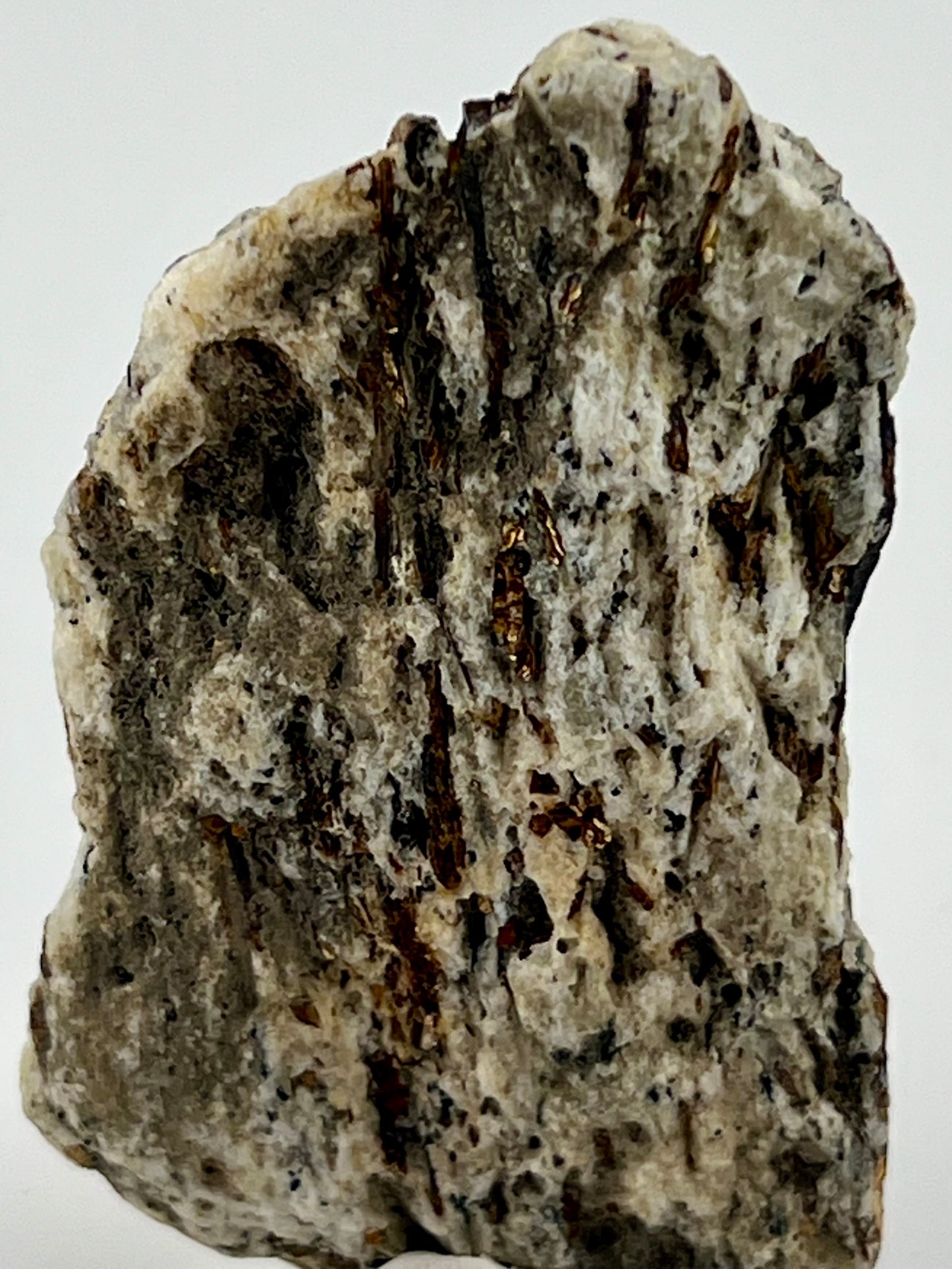 Astrophyllite