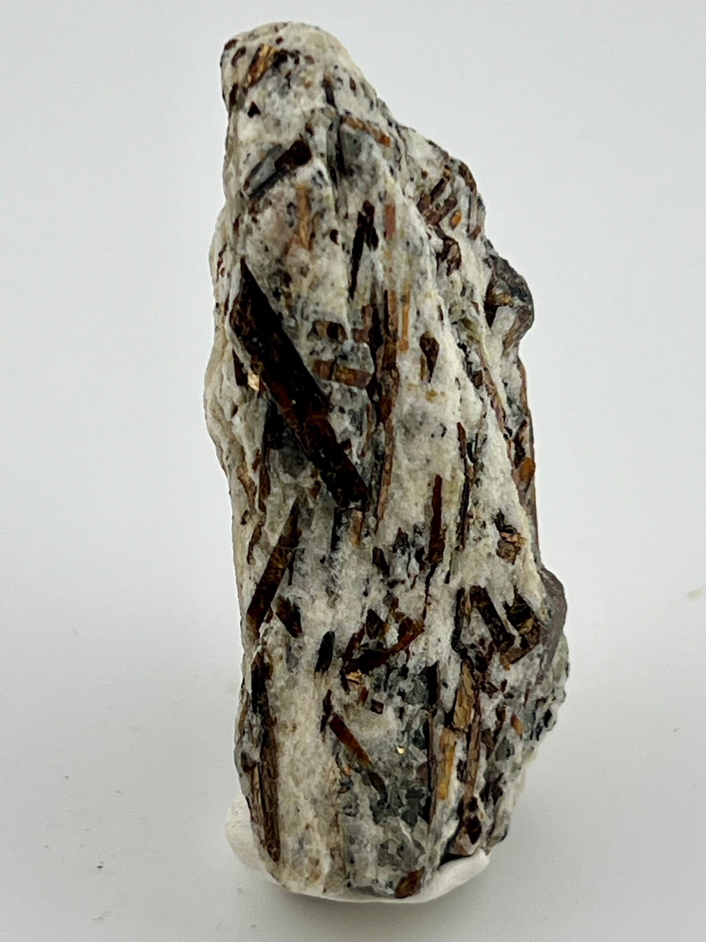 Astrophyllite