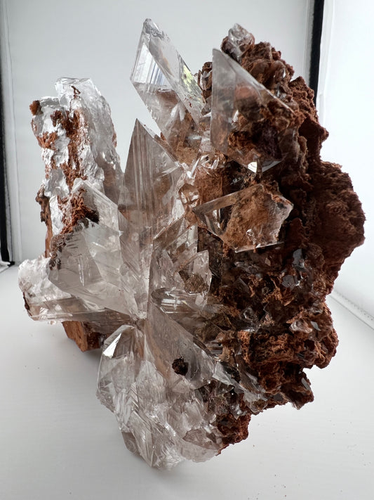 Bermejillo Selenite