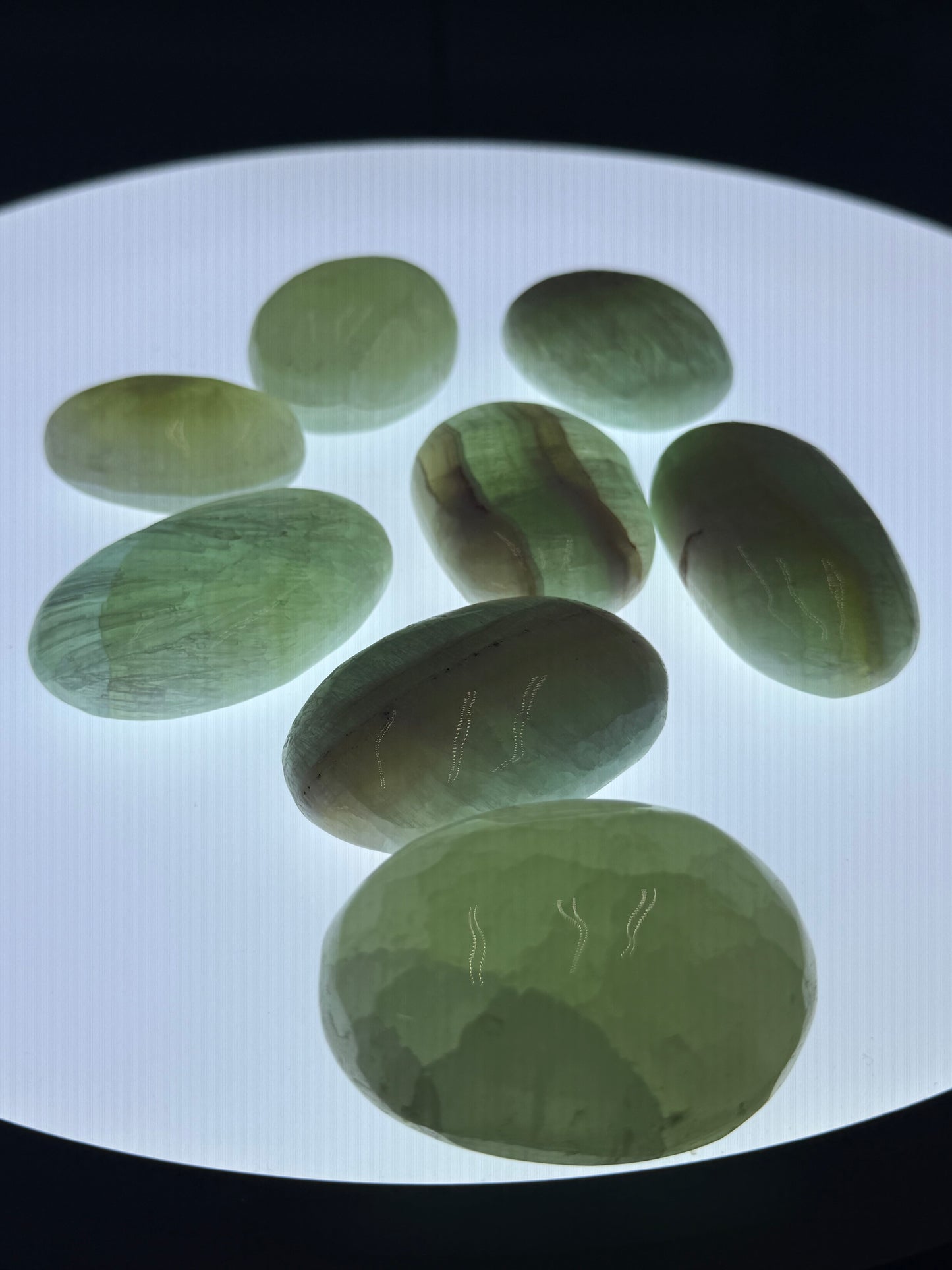 Caribbean Calcite Palm Stone