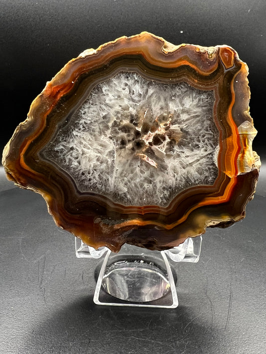 Condor Agate Geode Half #1