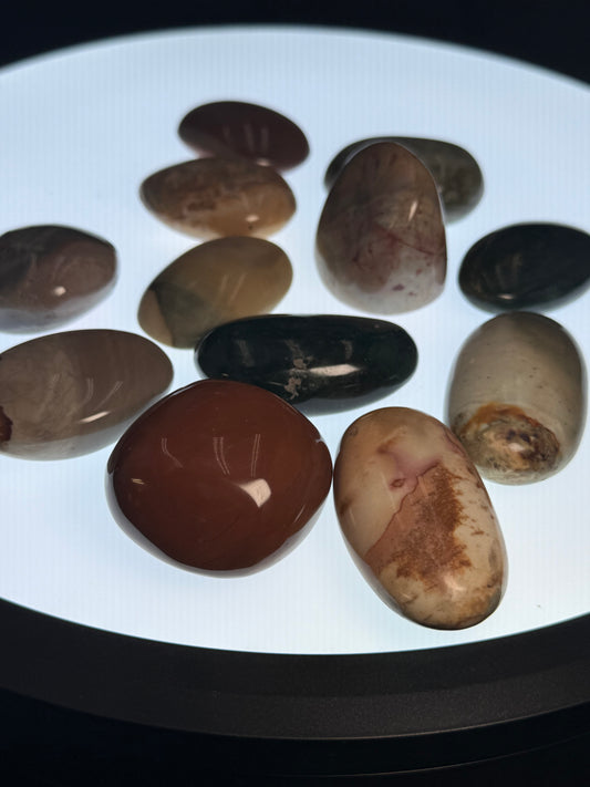 Desert Jasper Palm Stone