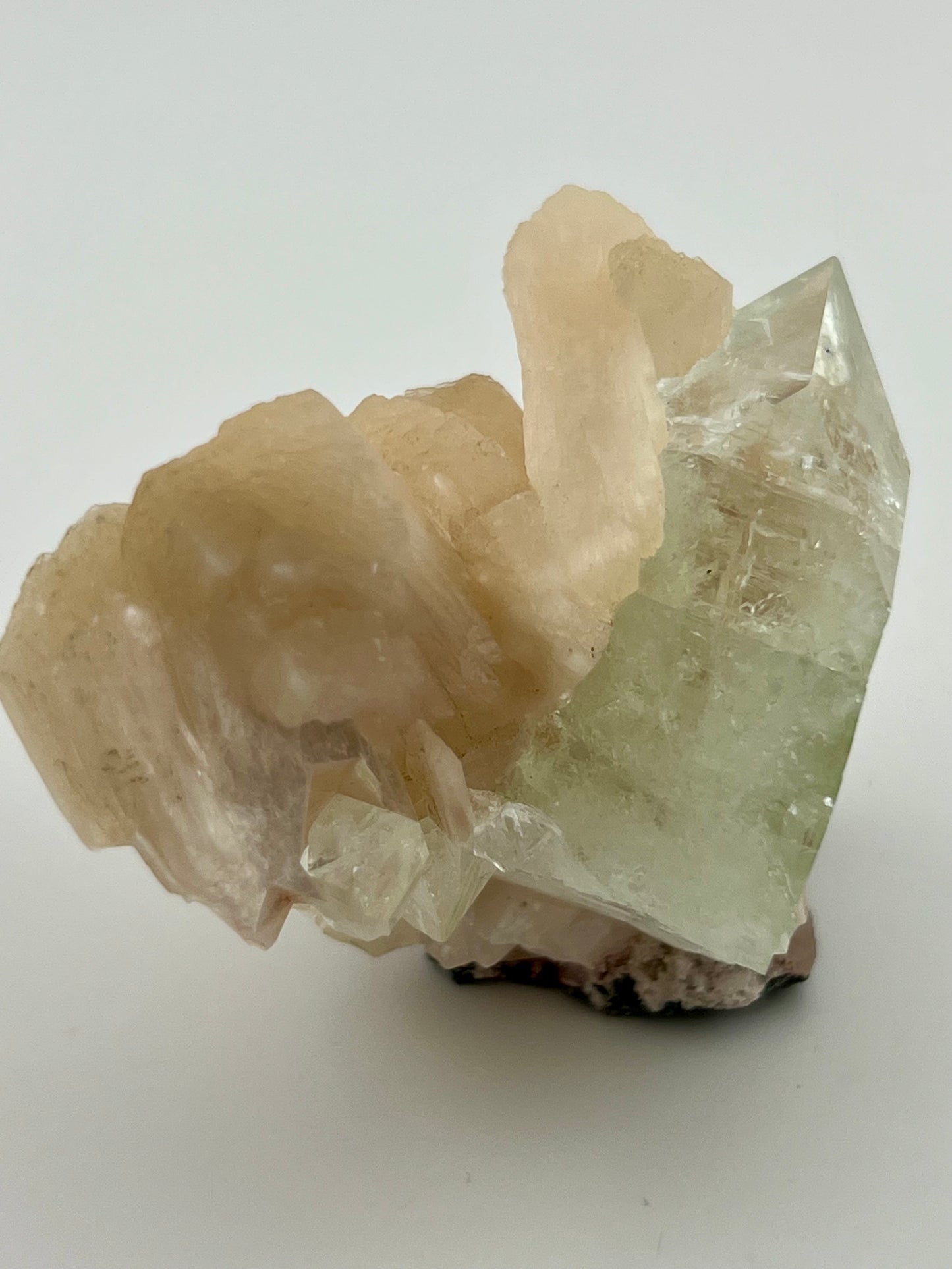 Diamond Apophyllite on Stilbite