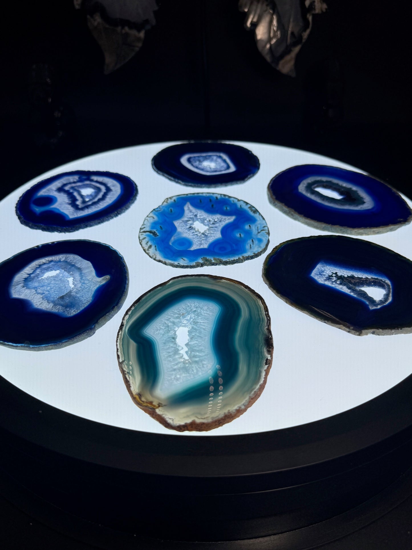 4-5" Dyed Agate Slice (Blue)