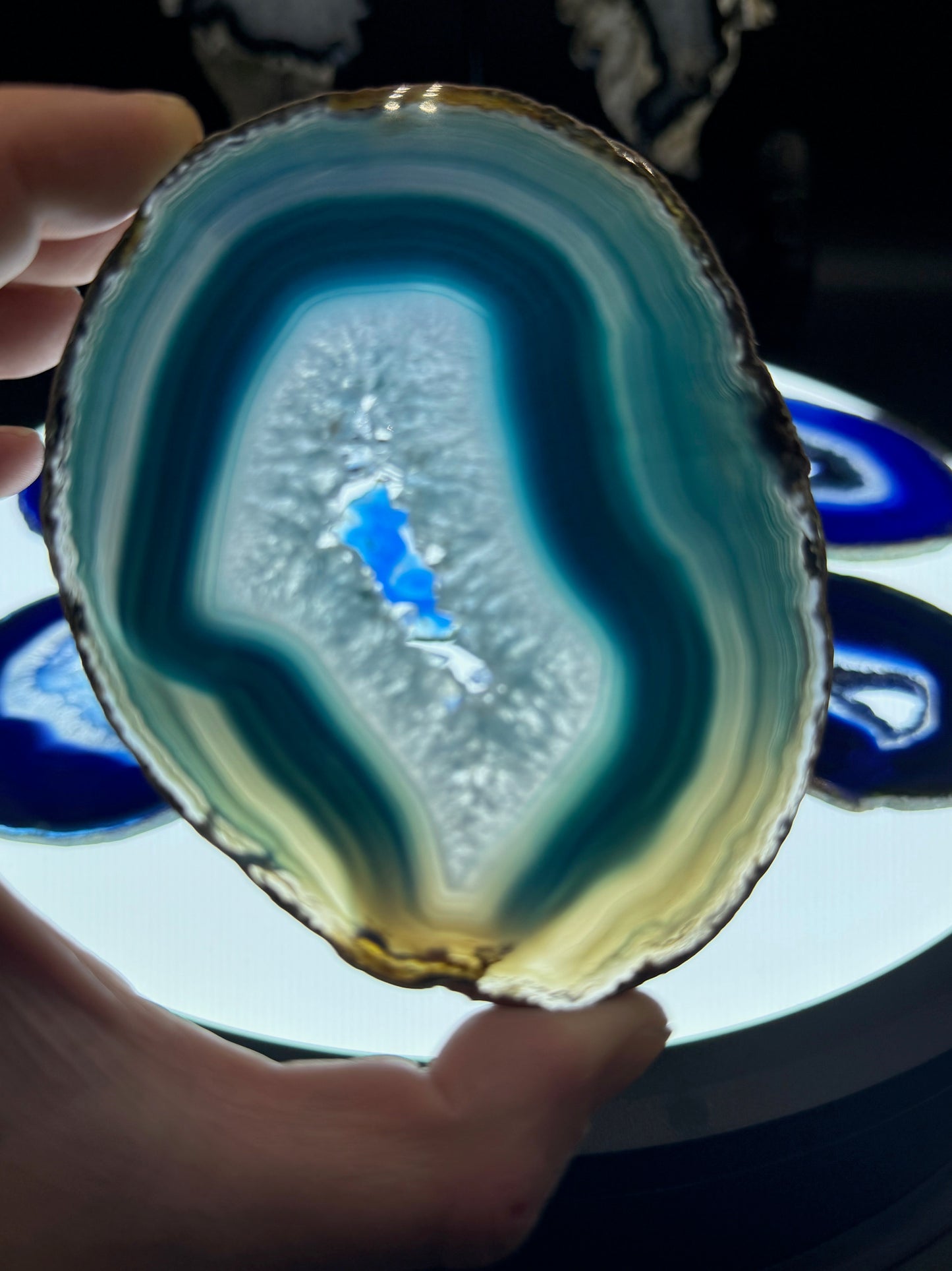 4-5" Dyed Agate Slice (Blue)