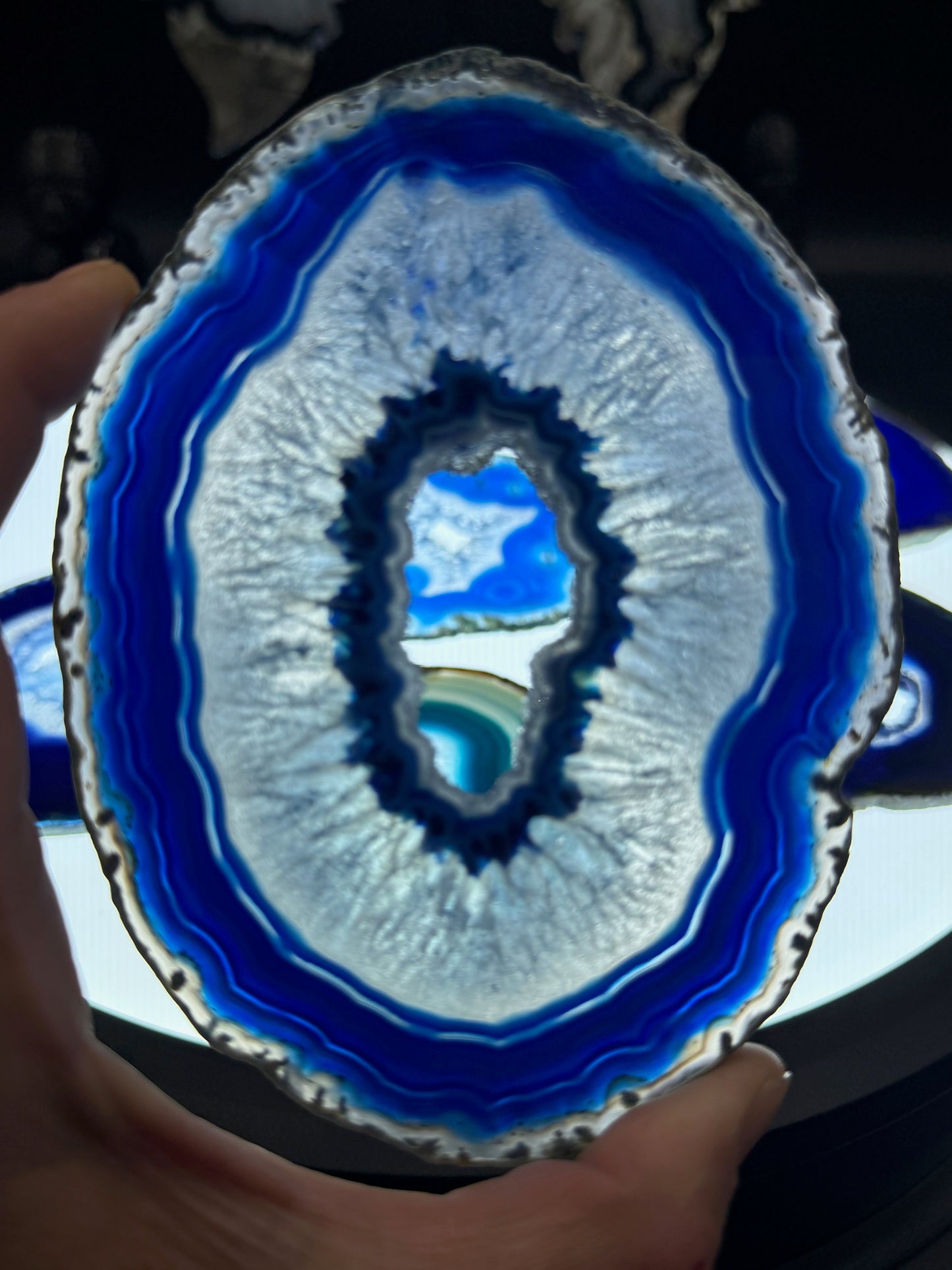 4-5" Dyed Agate Slice (Blue)