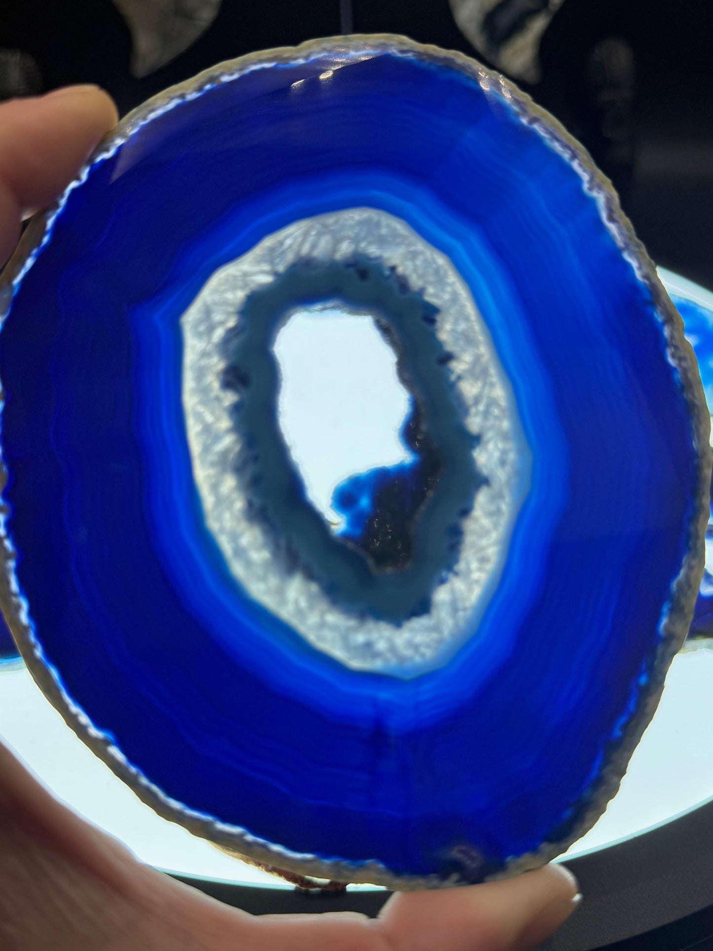 4-5" Dyed Agate Slice (Blue)