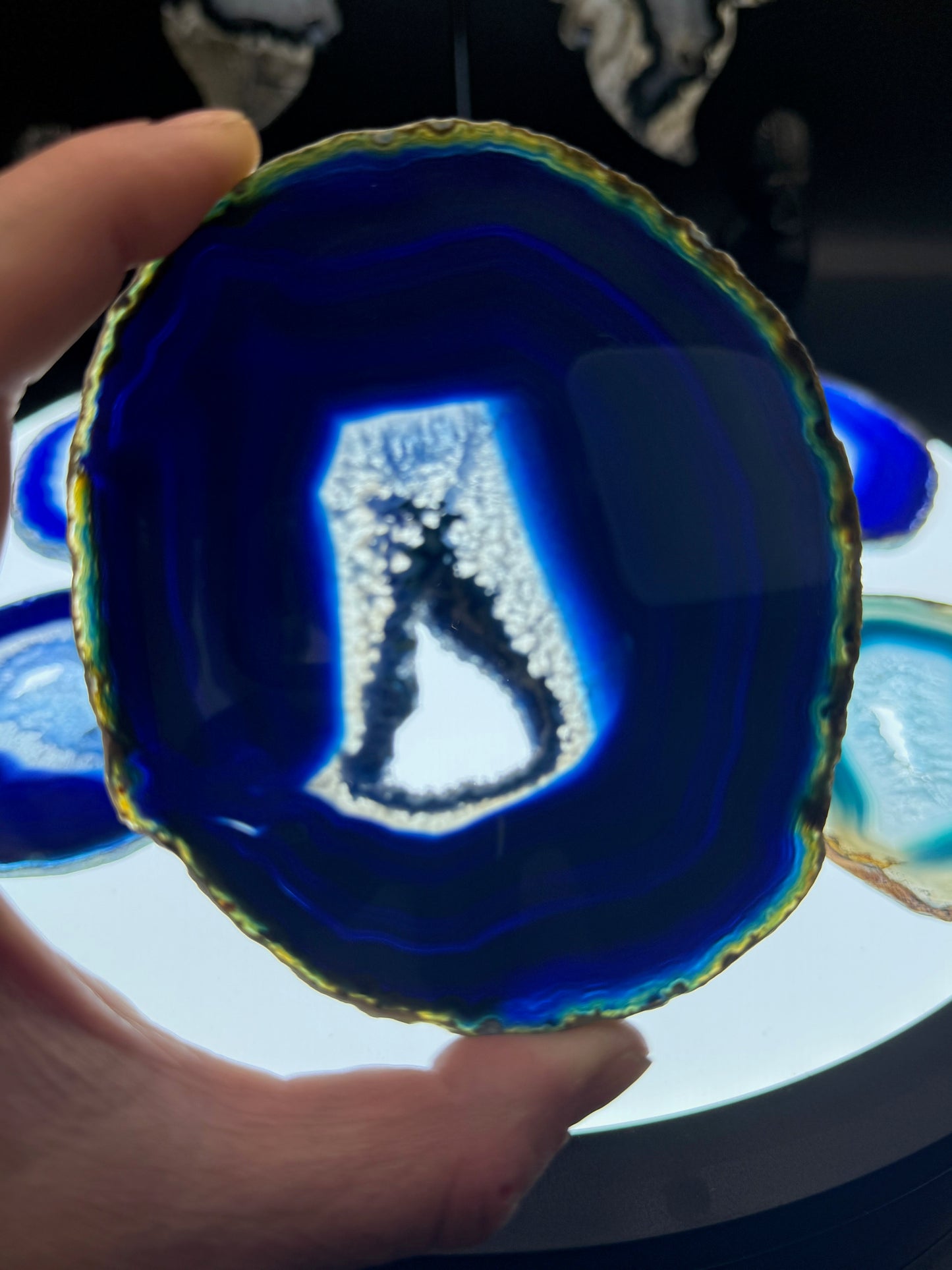 4-5" Dyed Agate Slice (Blue)