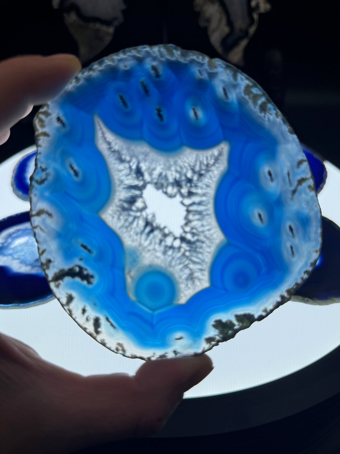 4-5" Dyed Agate Slice (Blue)