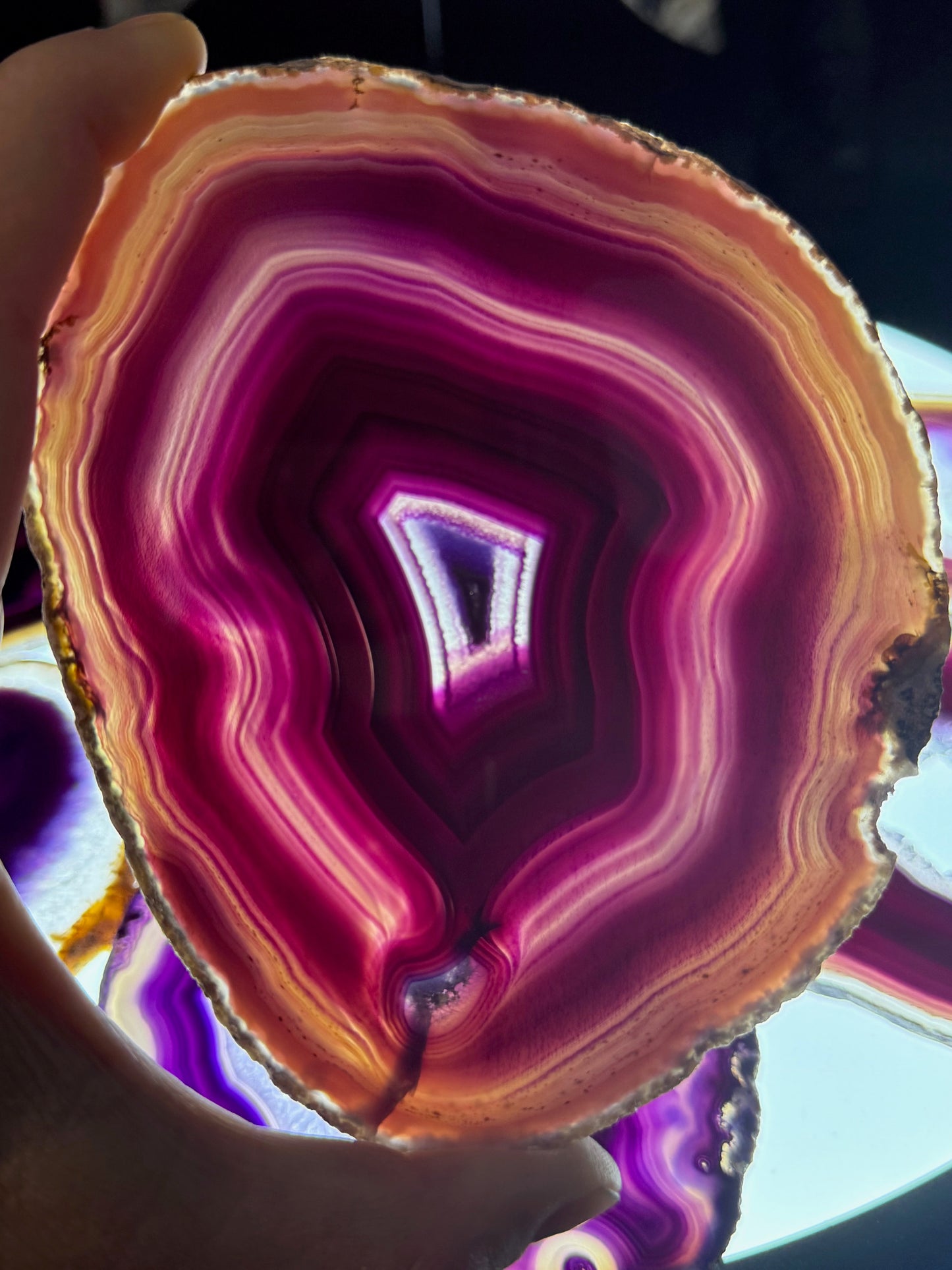 Dyed Agate Slices (Purple) 5-6"