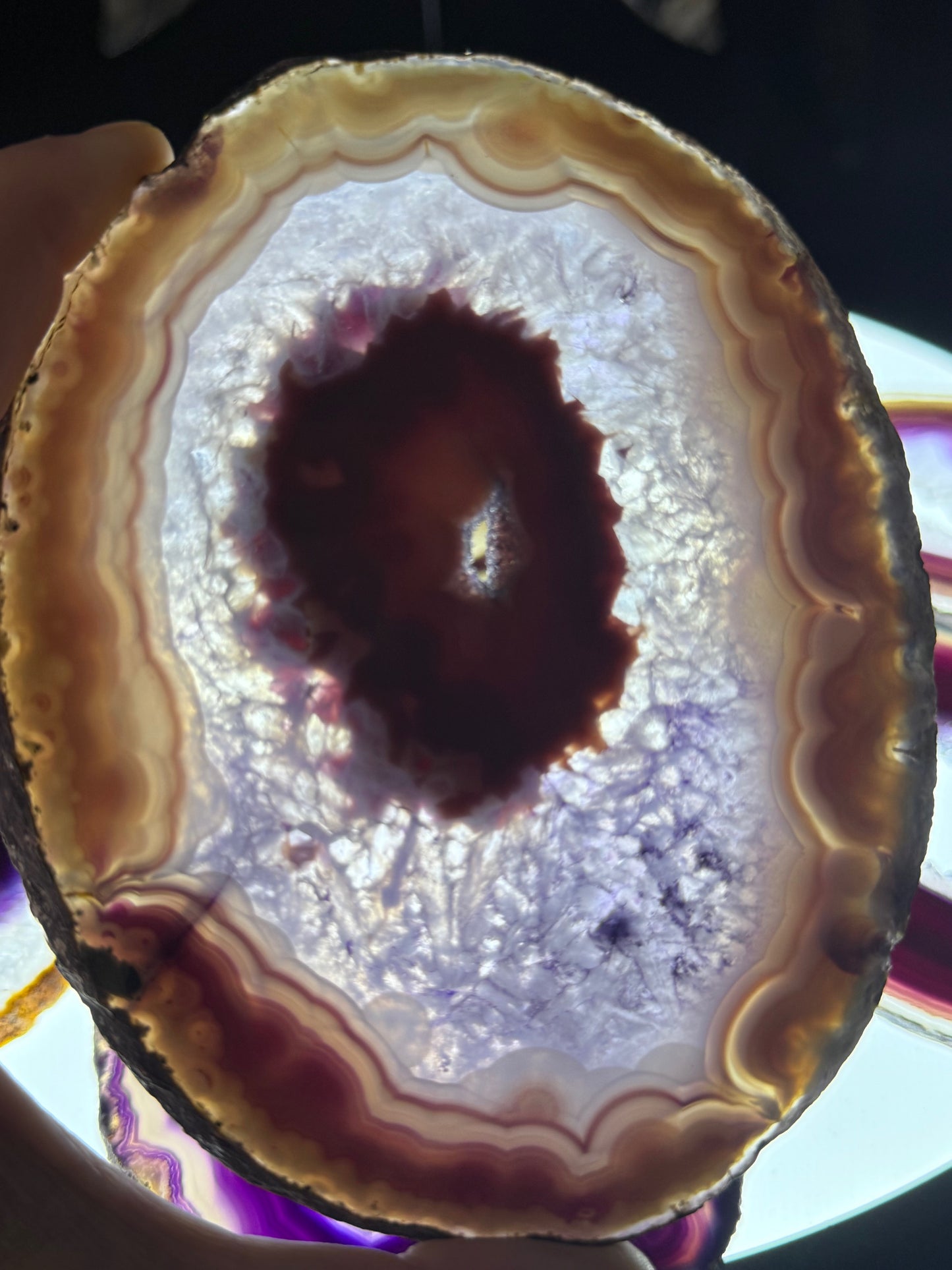 Dyed Agate Slices (Purple) 5-6"