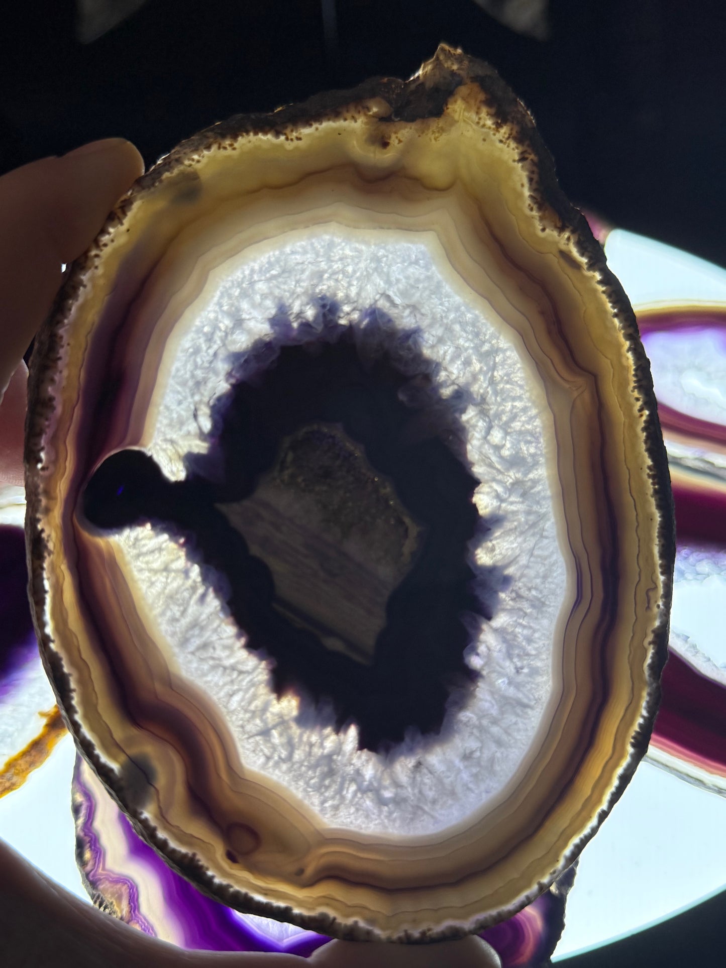 Dyed Agate Slices (Purple) 5-6"
