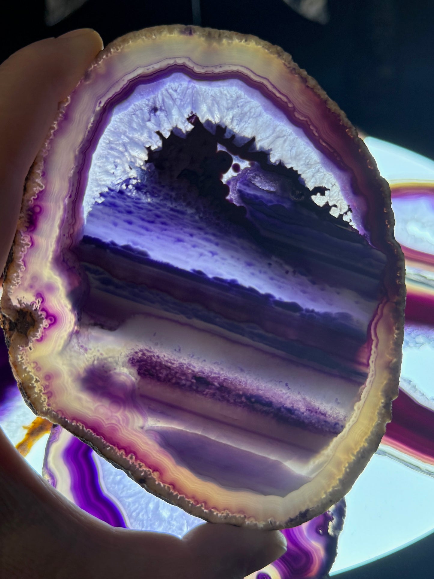 Dyed Agate Slices (Purple) 5-6"