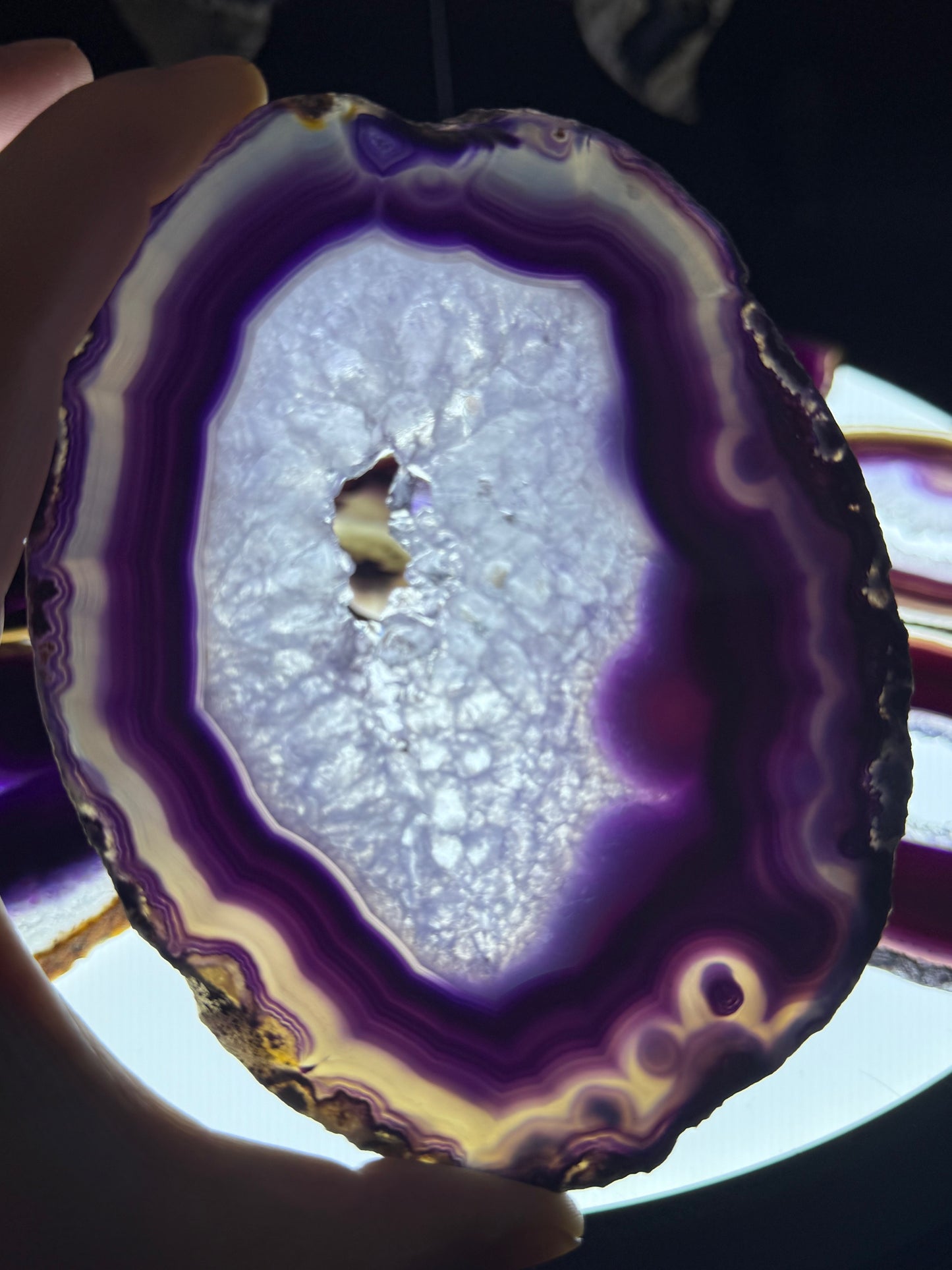 Dyed Agate Slices (Purple) 5-6"