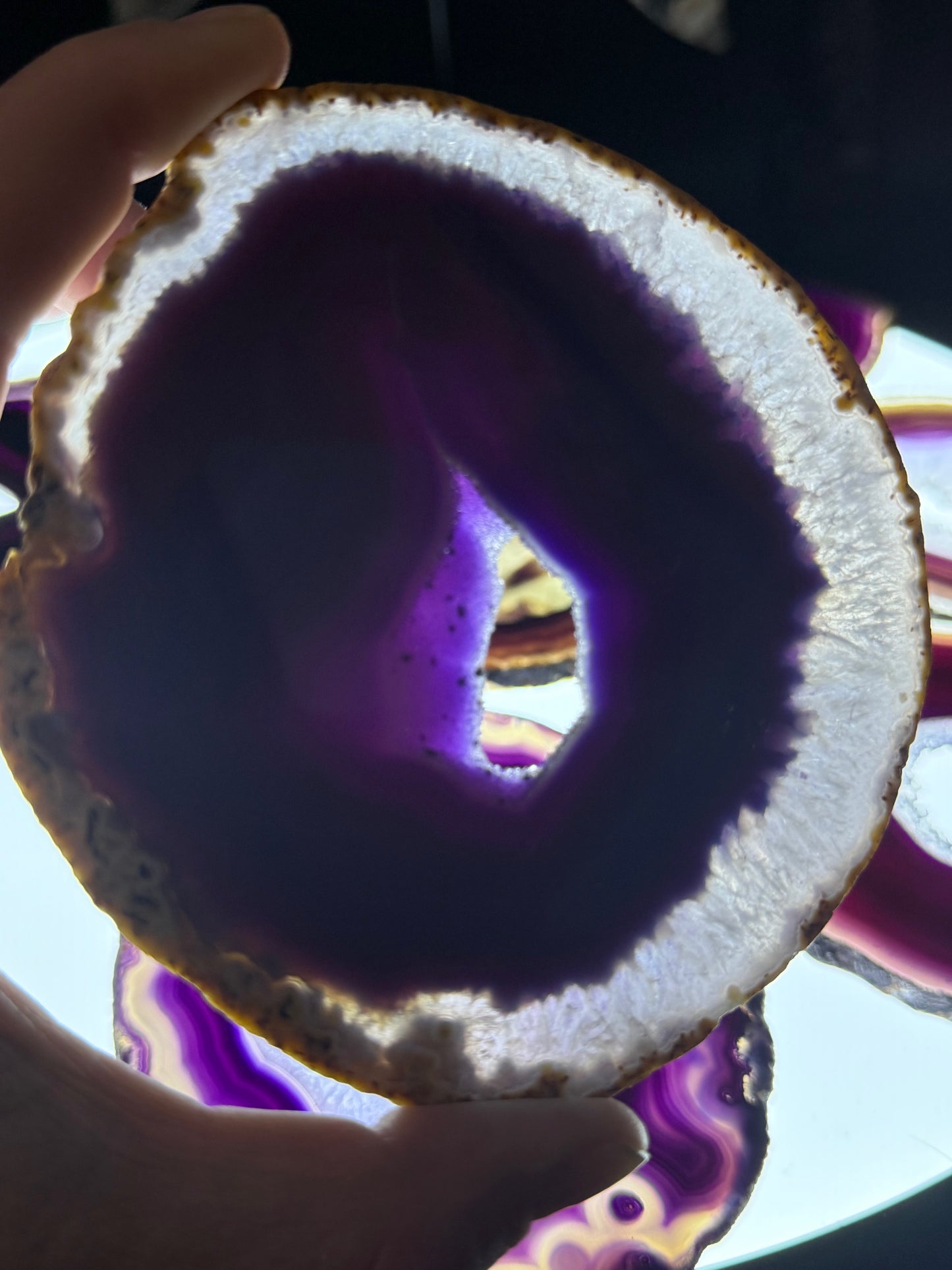 Dyed Agate Slices (Purple) 5-6"