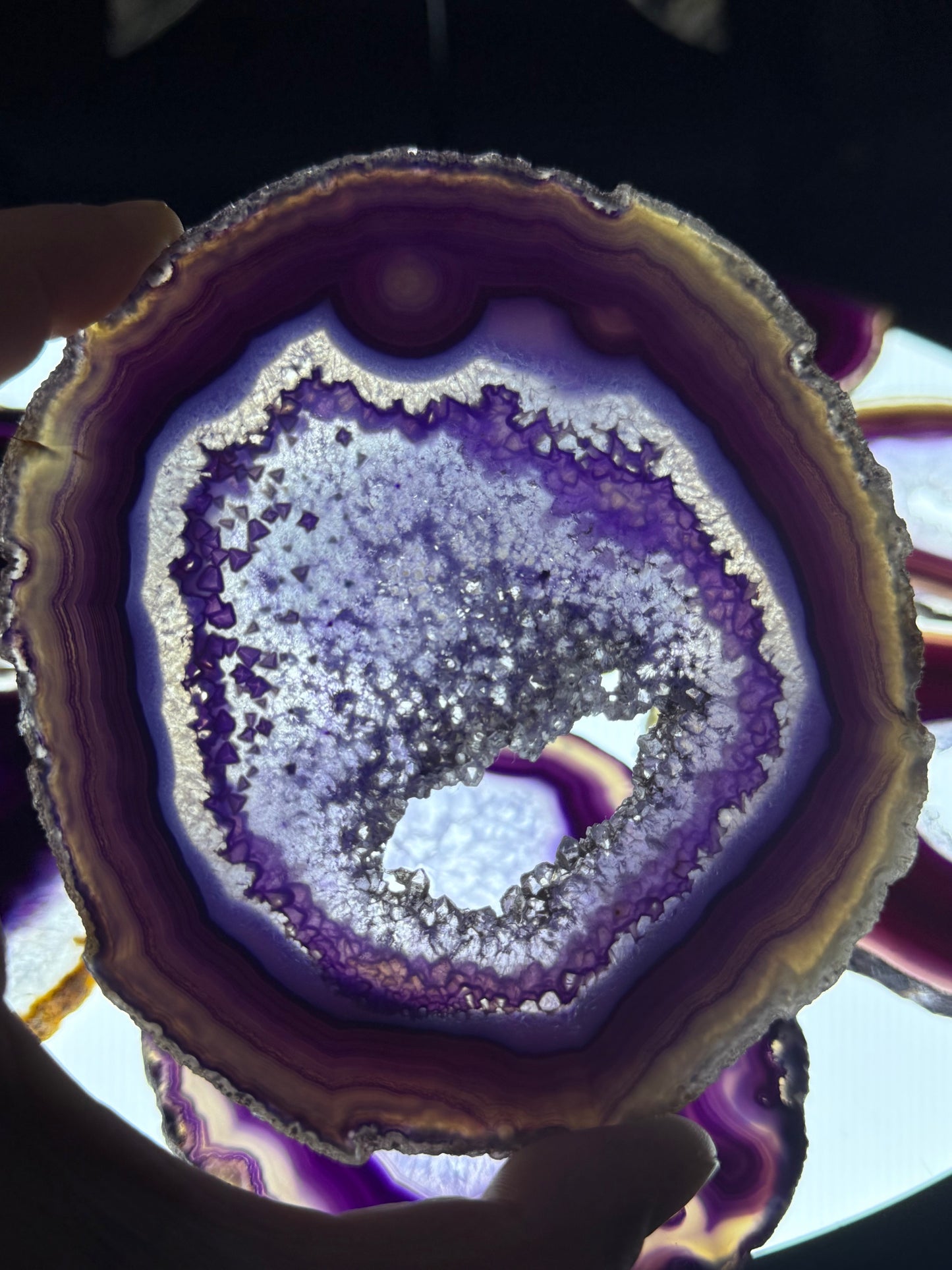 Dyed Agate Slices (Purple) 5-6"