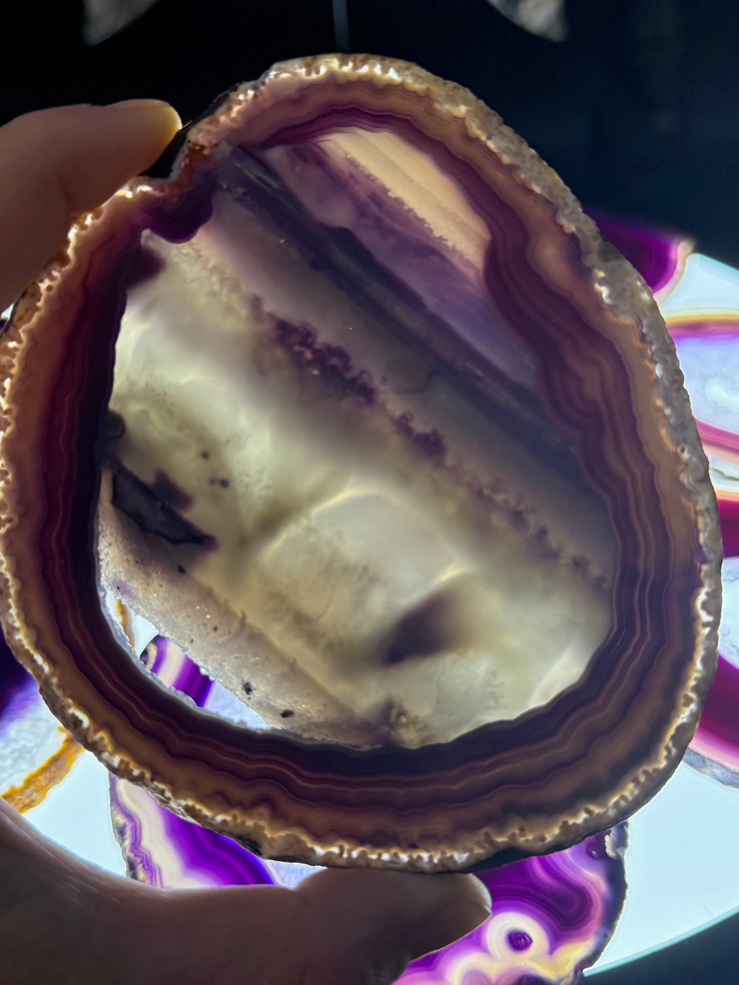 Dyed Agate Slices (Purple) 5-6"