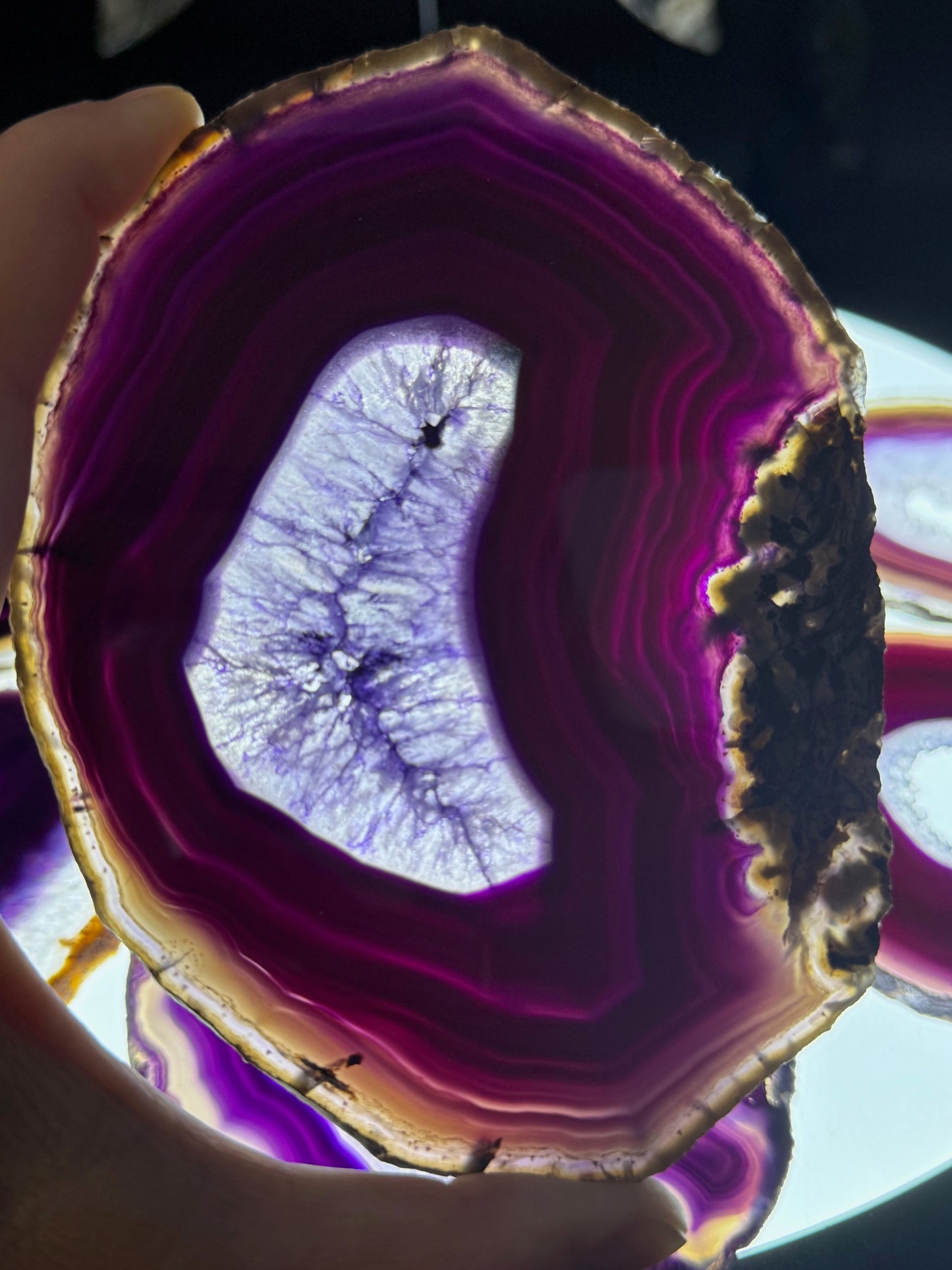 Dyed Agate Slices (Purple) 5-6"