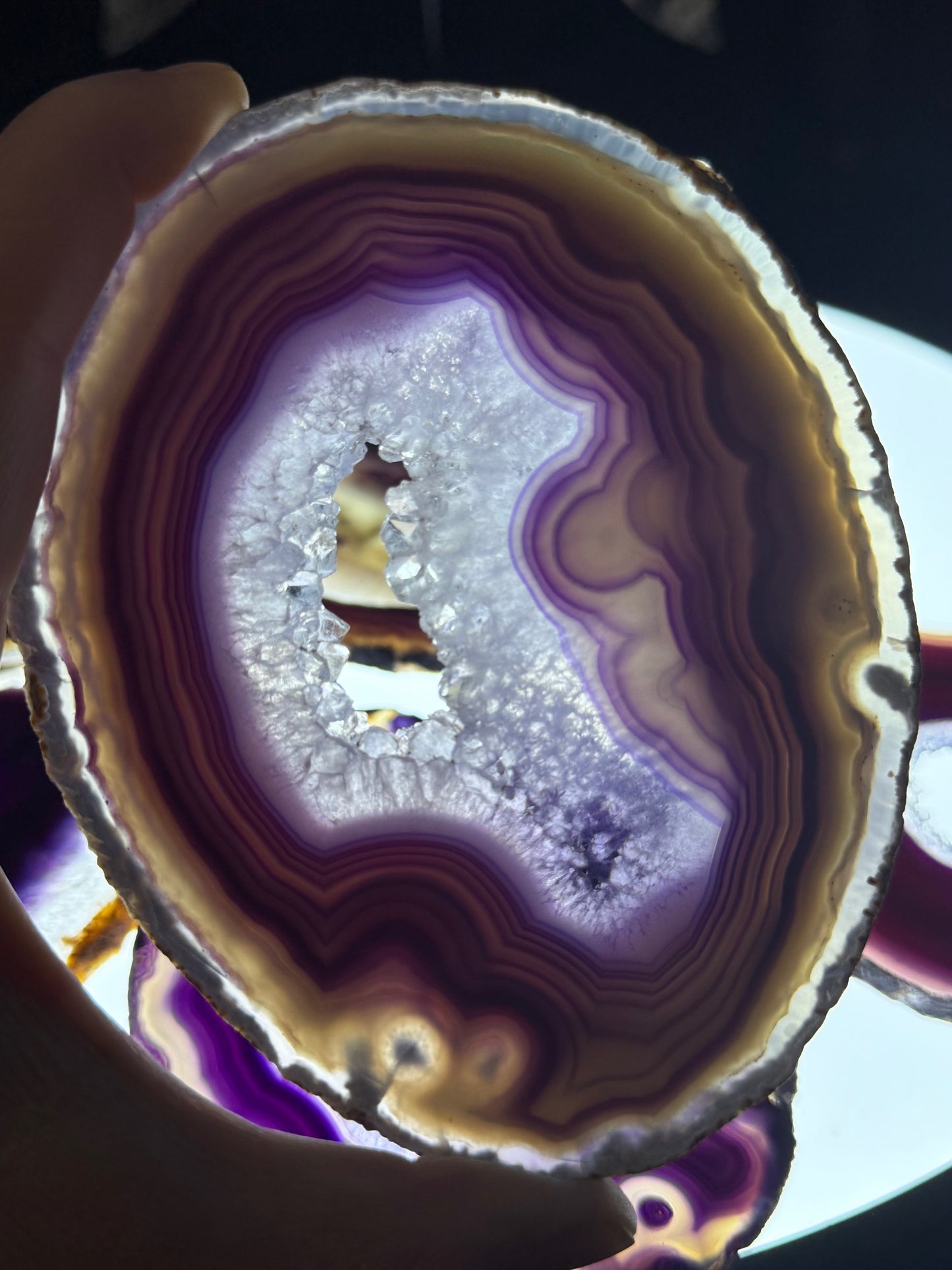 Dyed Agate Slices (Purple) 5-6"