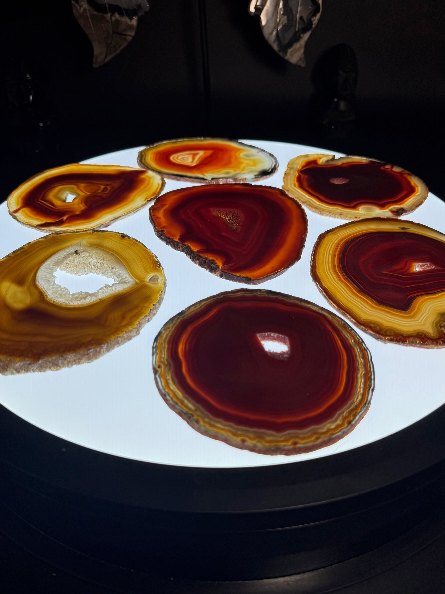 Dyed Agate Slice (Red) 5-7"