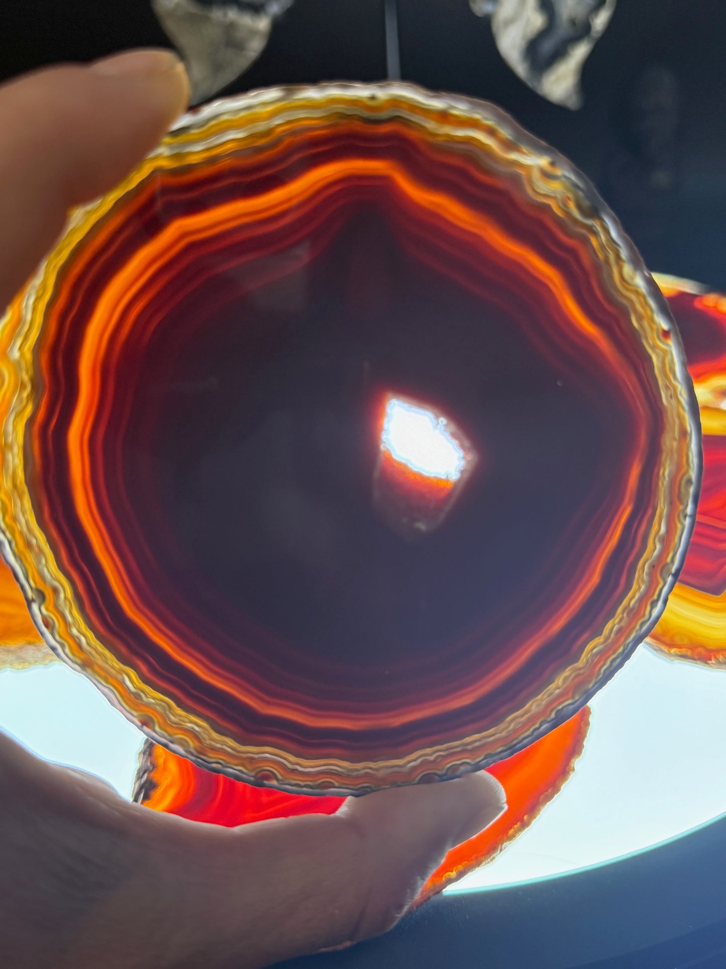 Dyed Agate Slice (Red) 5-7"