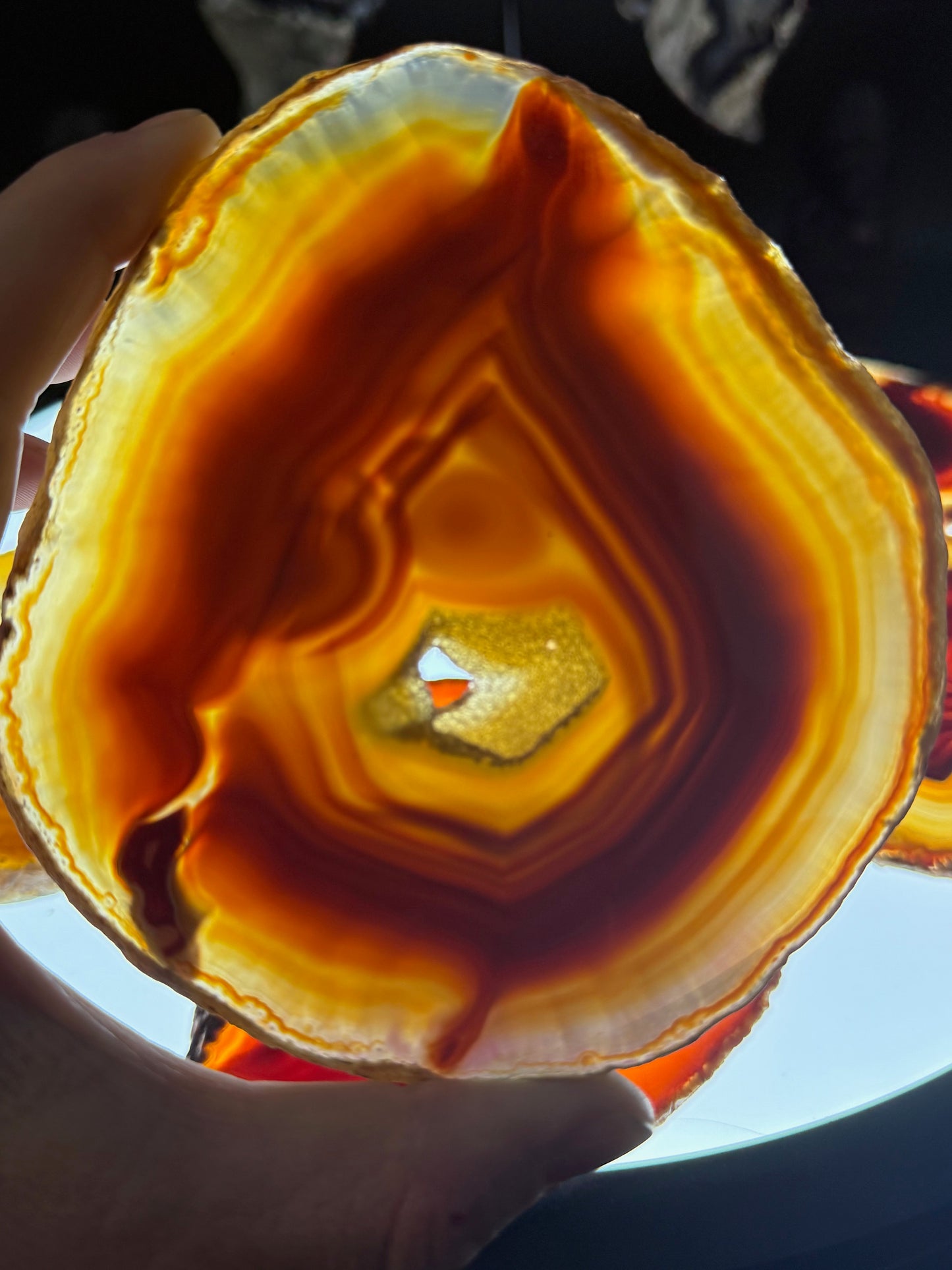 Dyed Agate Slice (Red) 5-7"