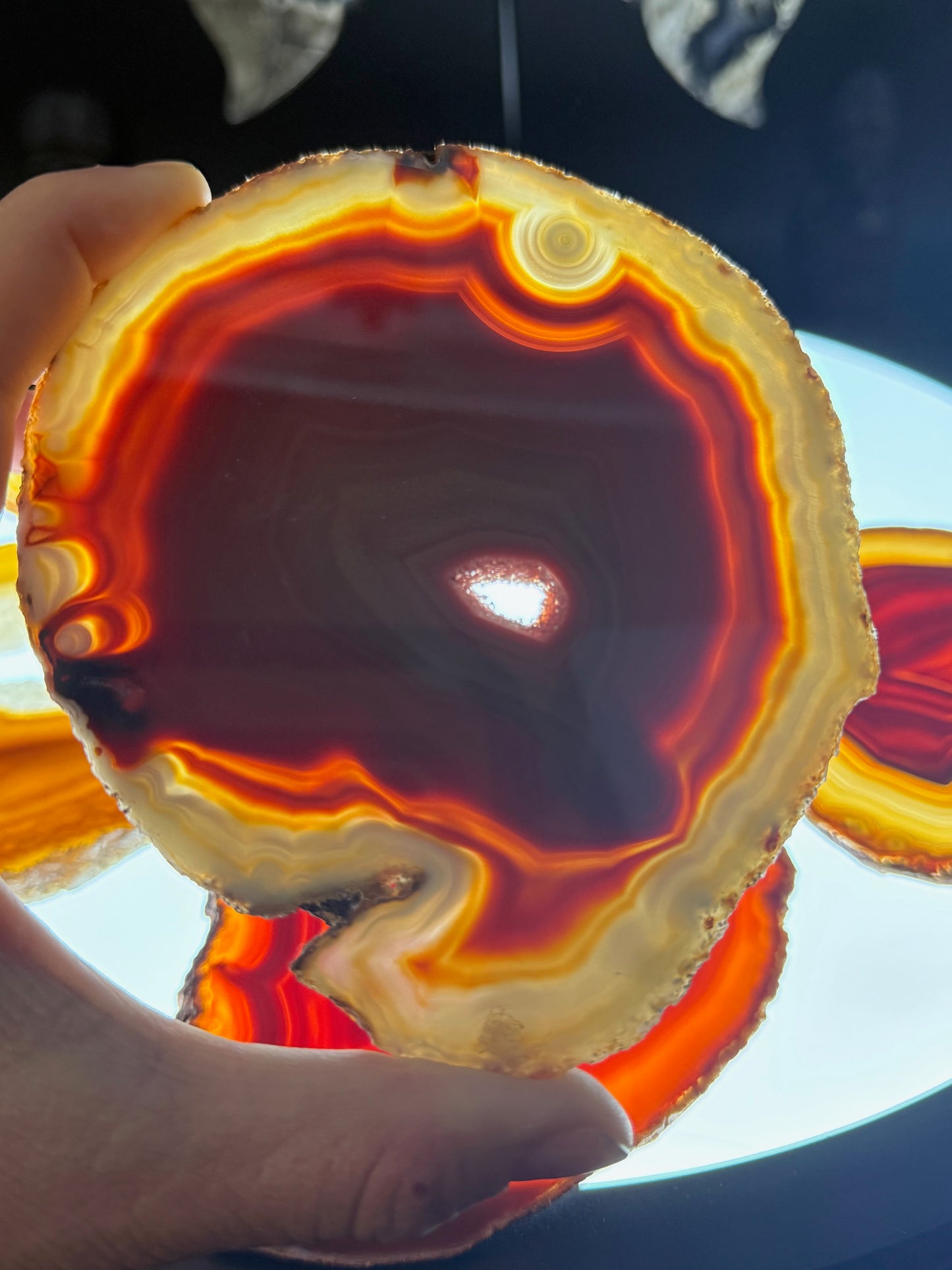 Dyed Agate Slice (Red) 5-7"