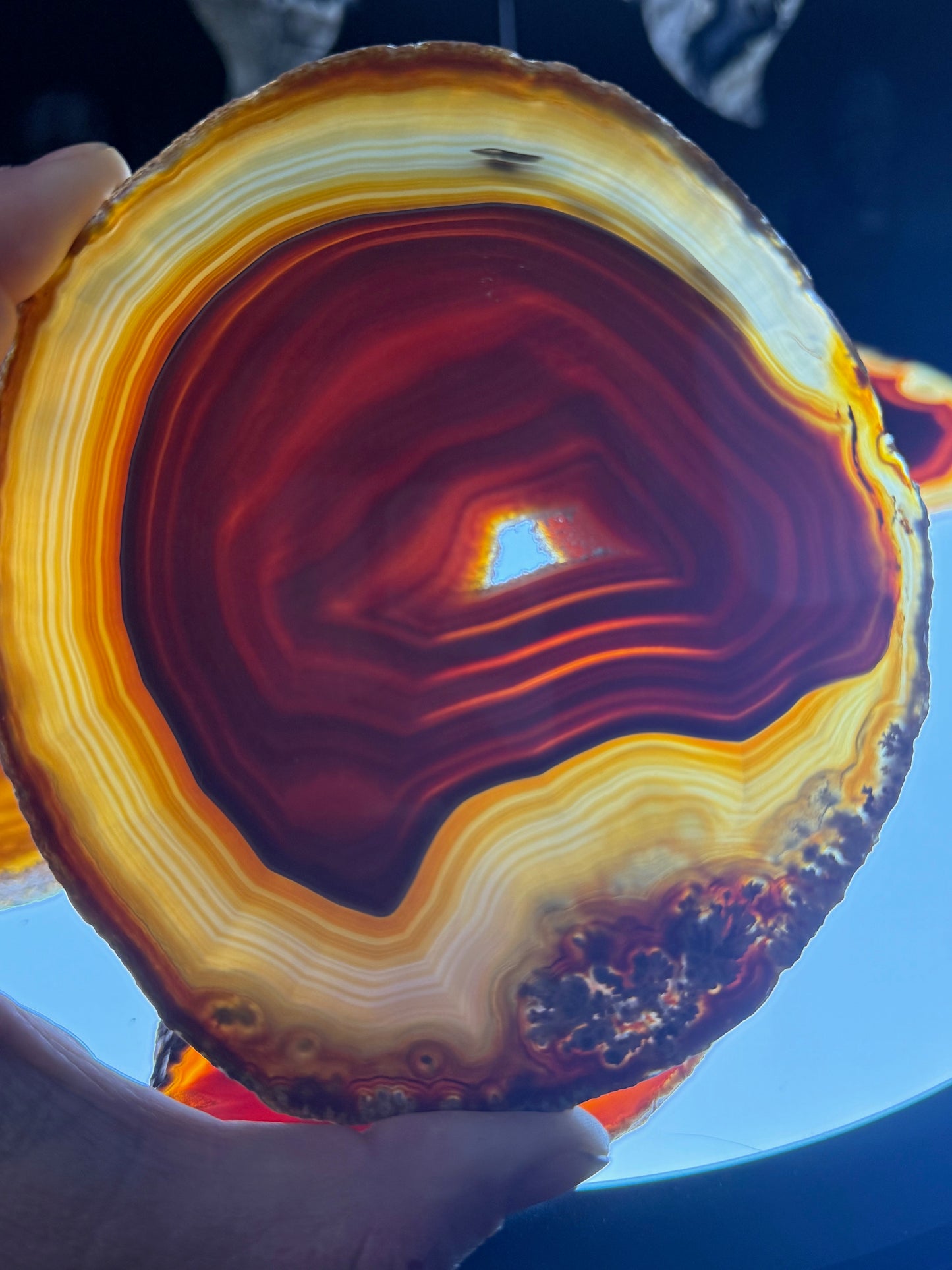 Dyed Agate Slice (Red) 5-7"