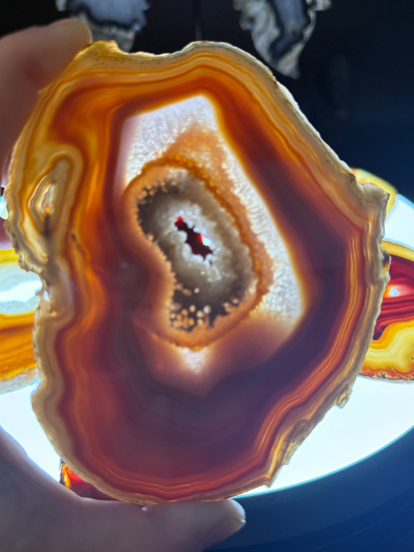 Dyed Agate Slice (Red) 5-7"