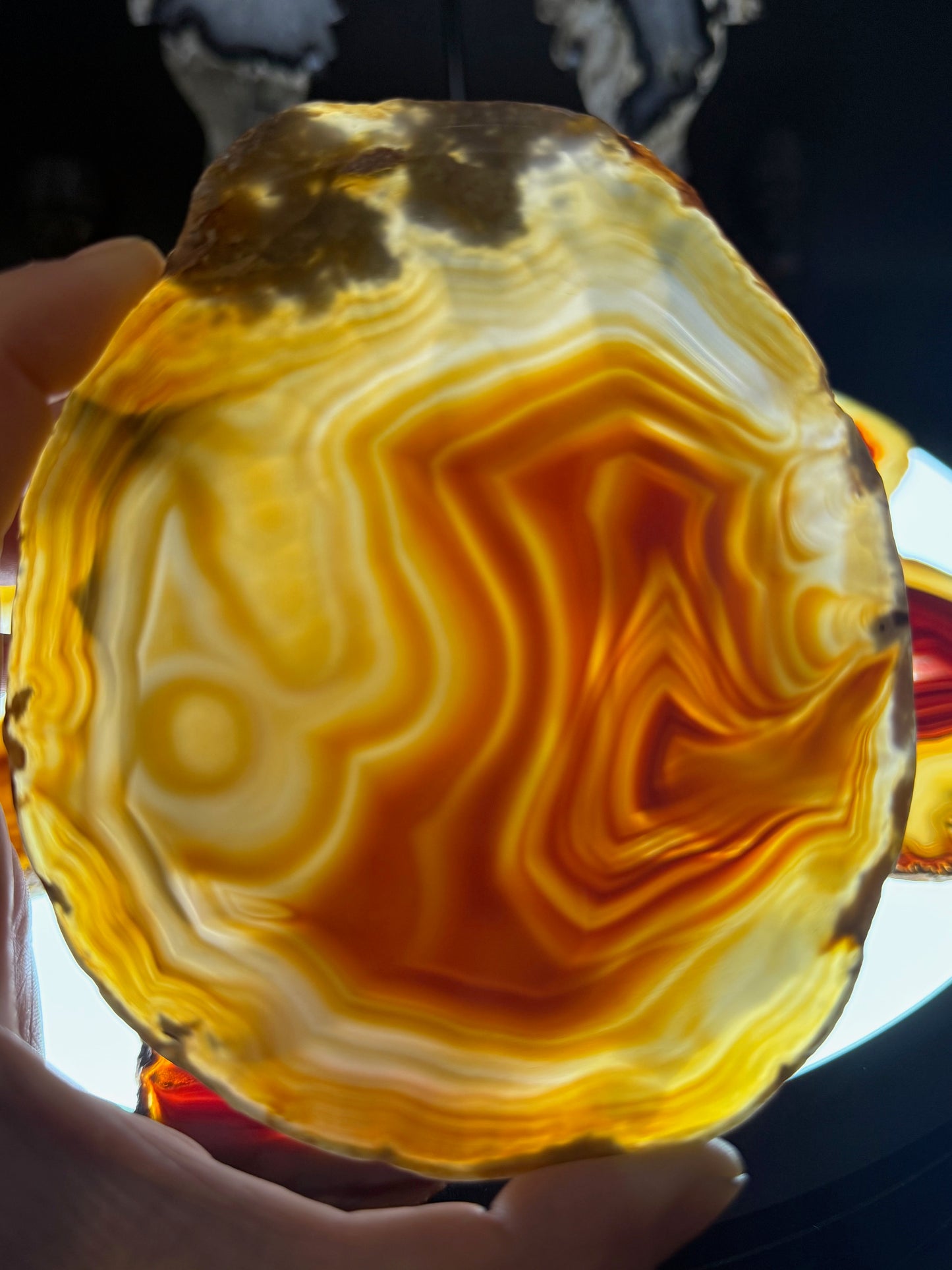 Dyed Agate Slice (Red) 5-7"