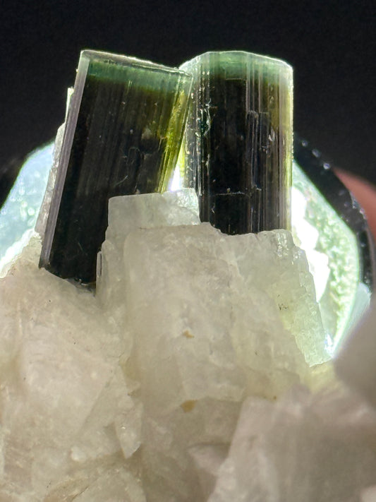 Tourmaline w/ Albite