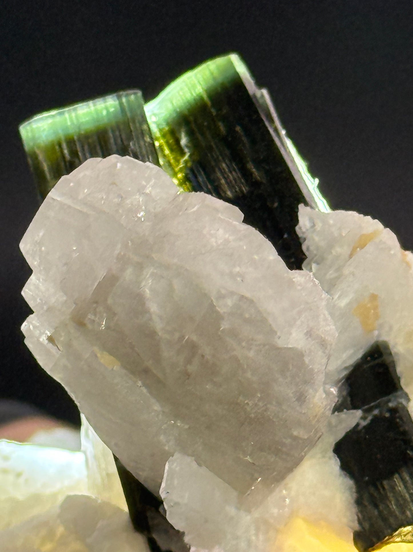 Tourmaline w/ Albite