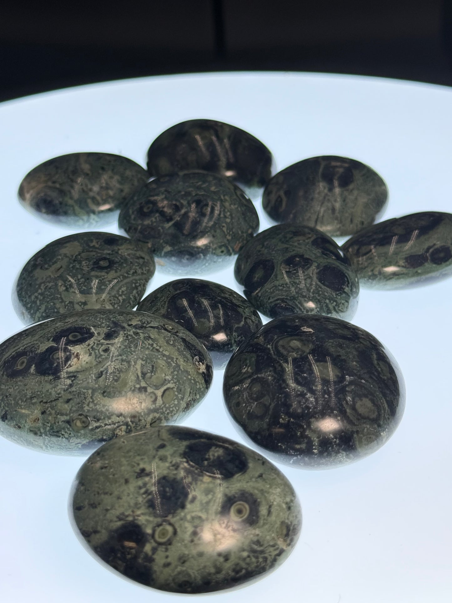 Kambaba Jasper Palm Stone