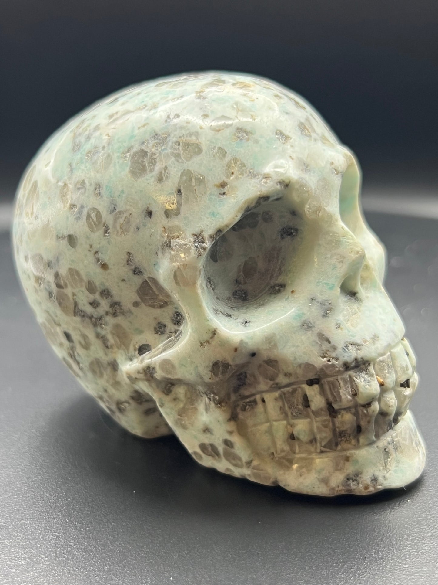 Kiwi Jasper Skull