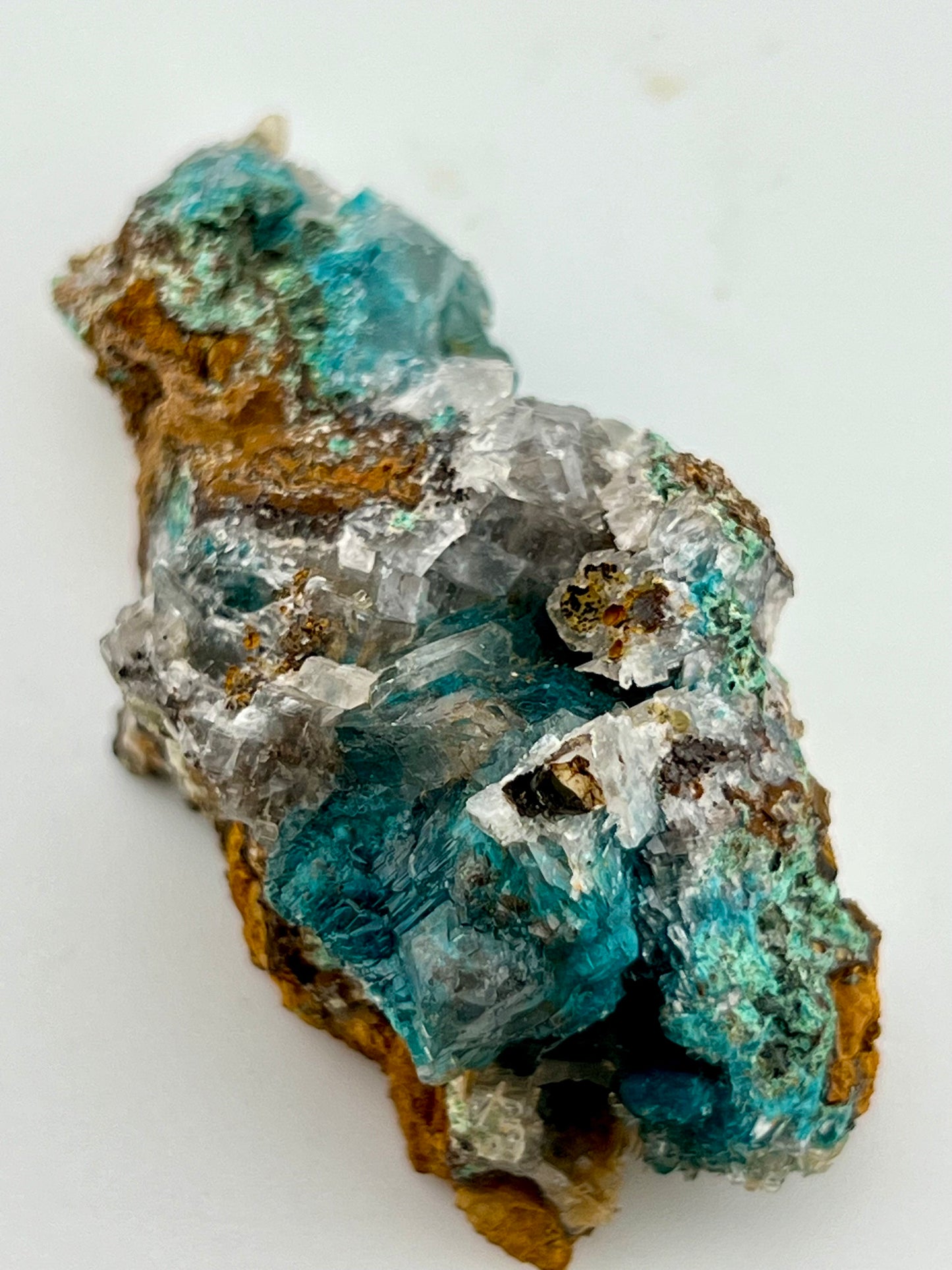 Rosasite #4