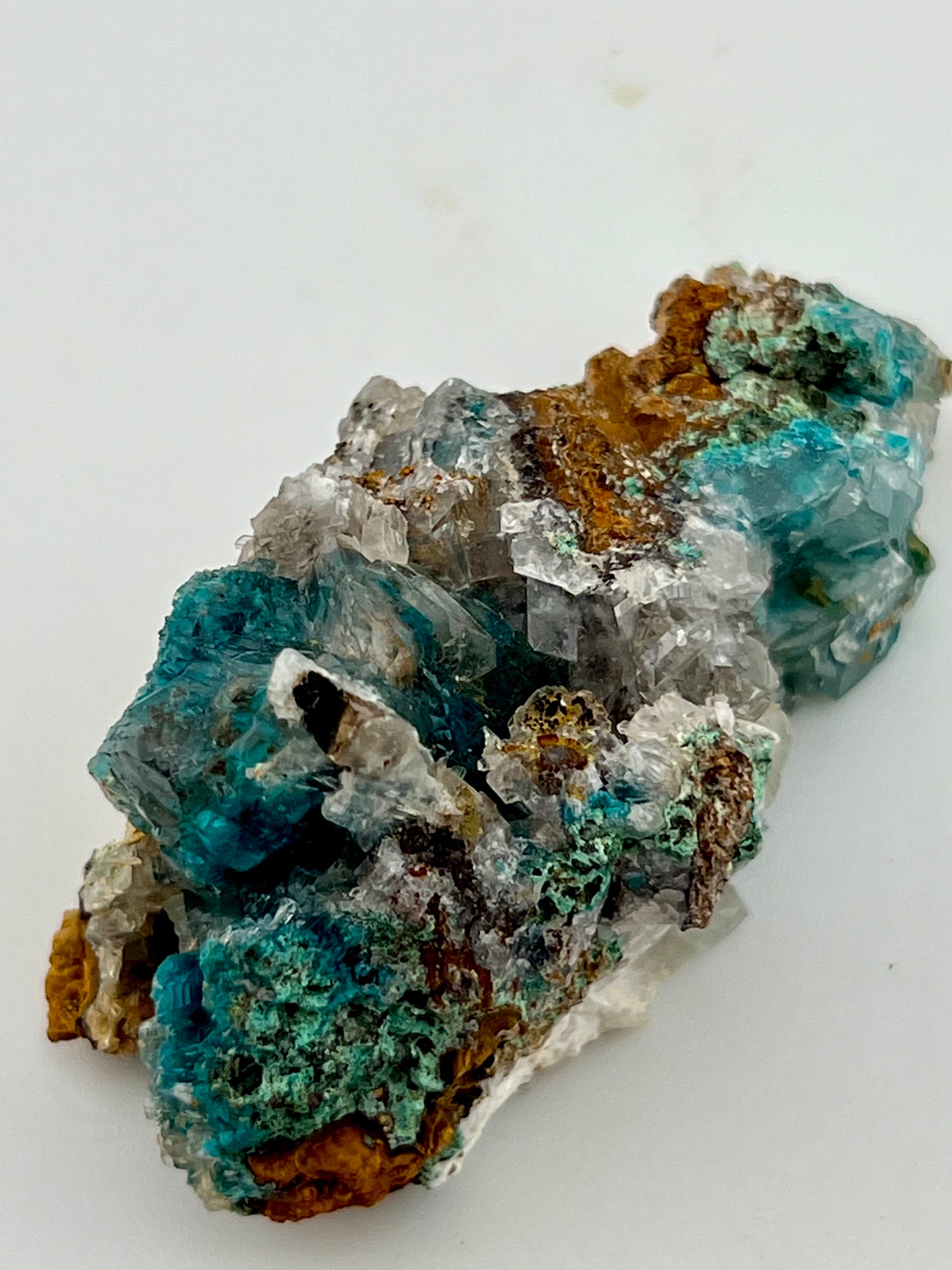 Rosasite #4