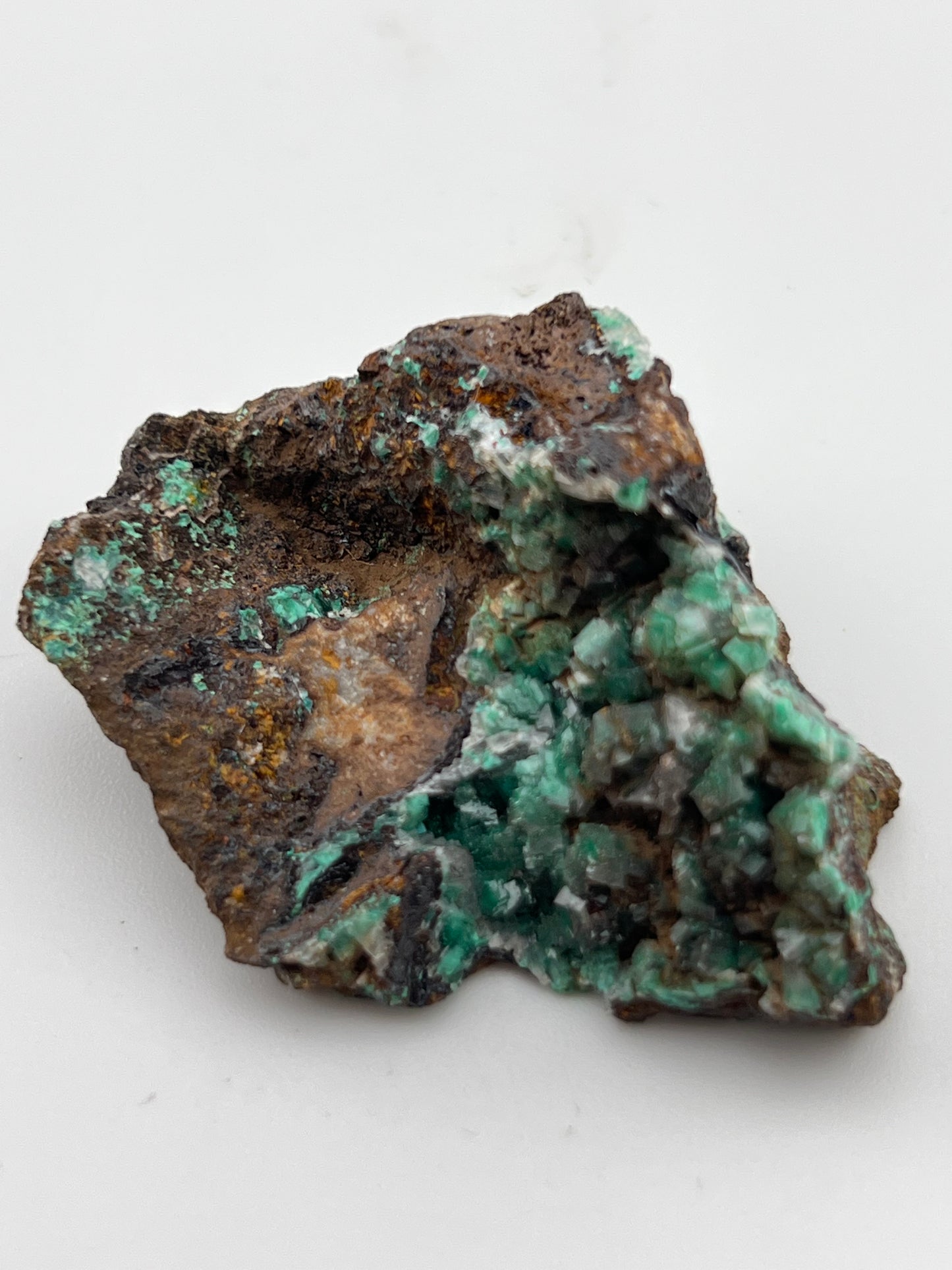 Rosasite #5