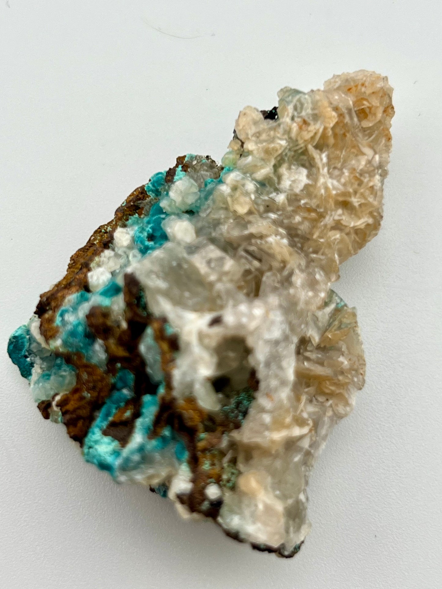 Rosasite #6