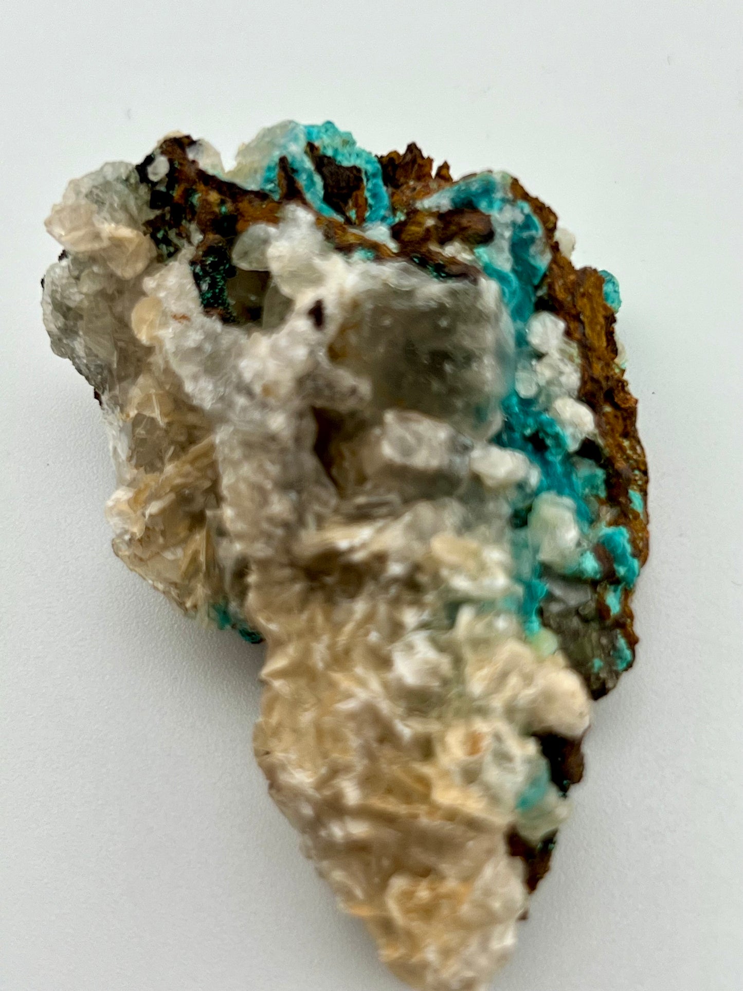 Rosasite #6