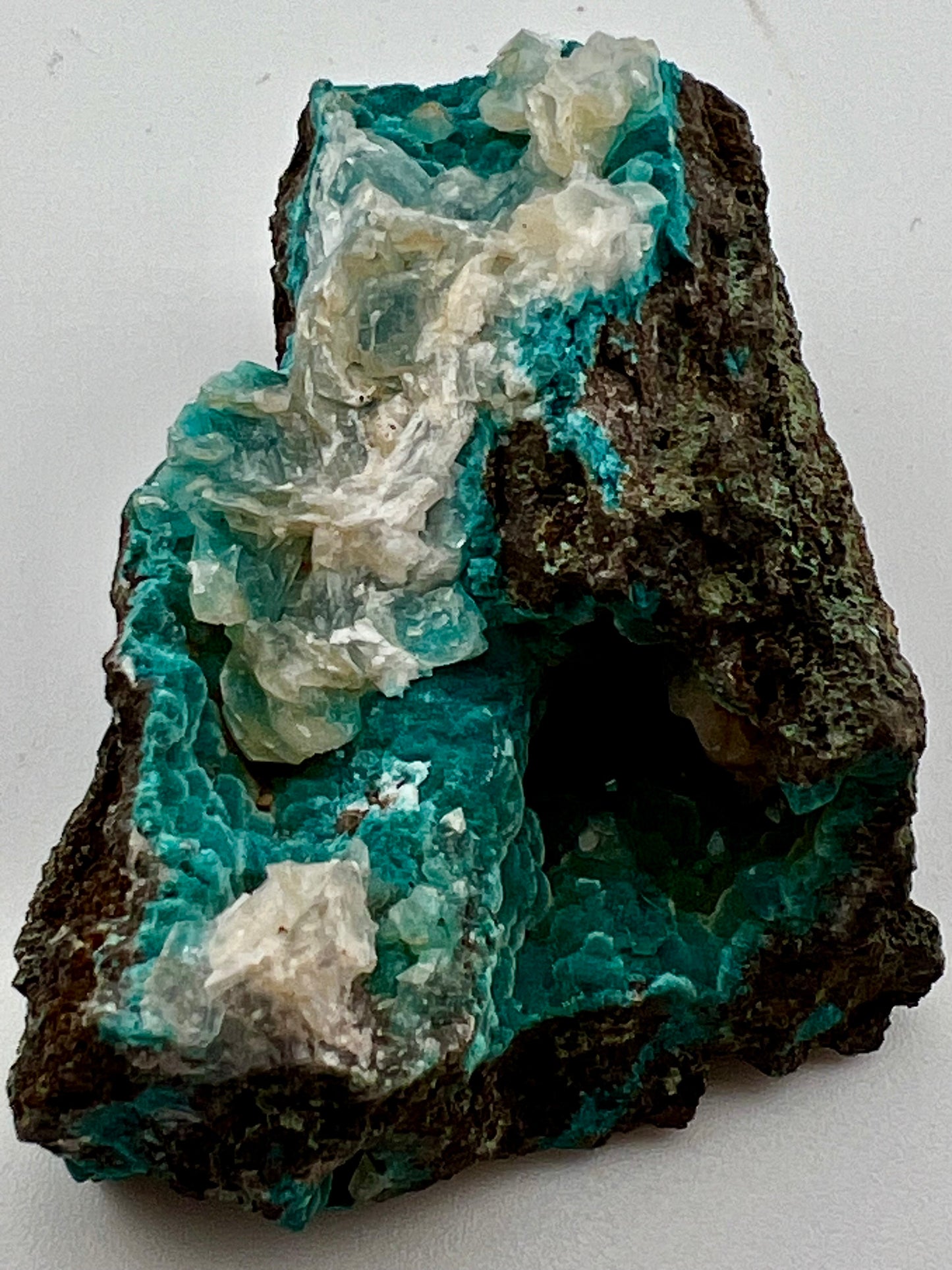 Rosasite #7