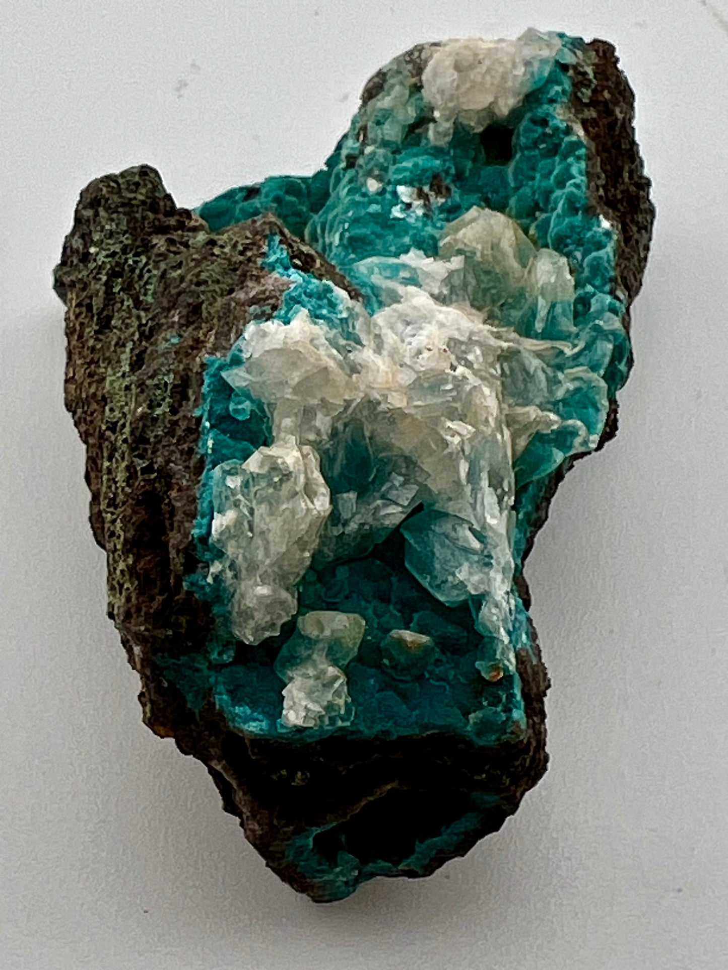 Rosasite #7