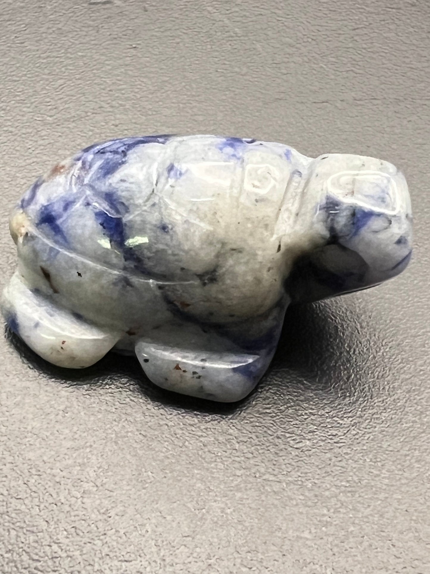 Sodalite Turtle Carving